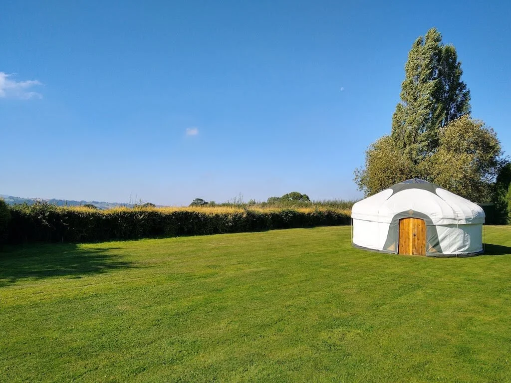 A white yurt with a wooden door sits on a grassy field, with a large tree and a row of bushes in the background under a clear blue sky.