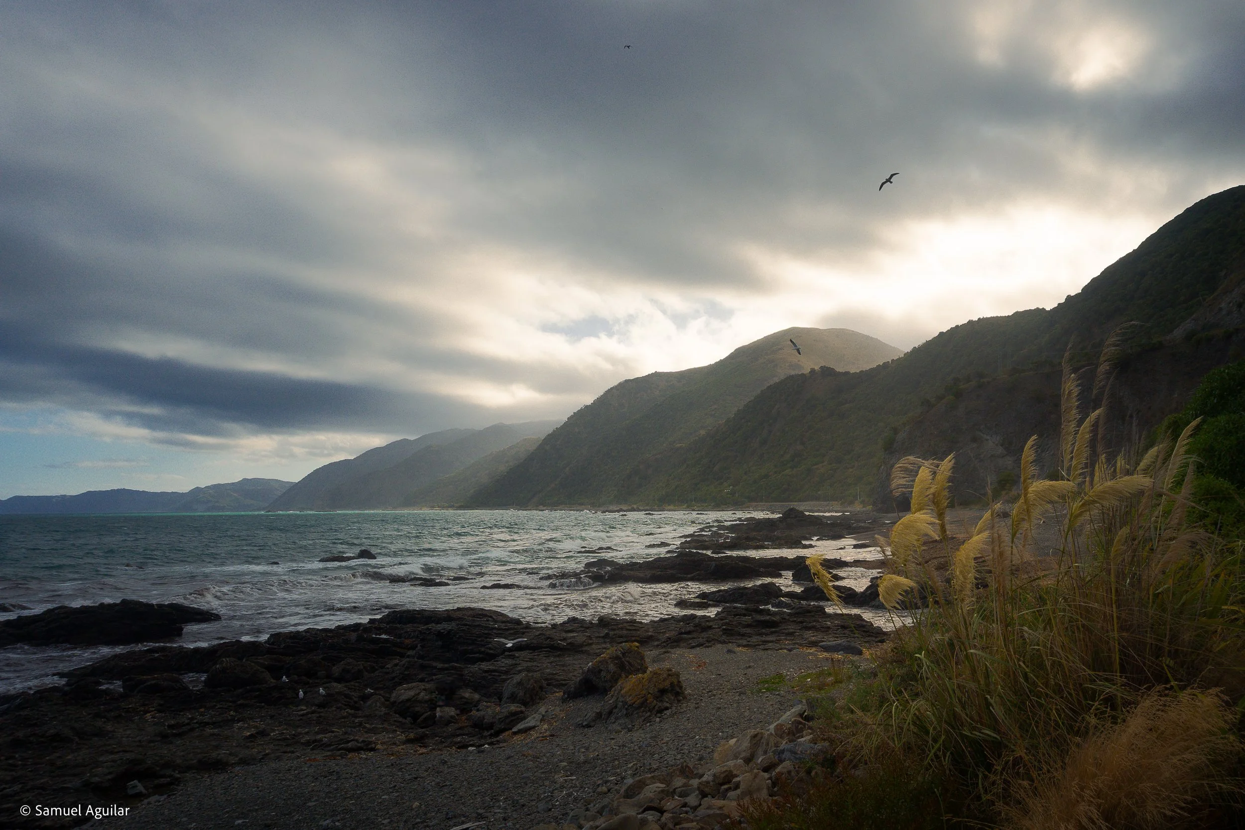 Kaikoura coast