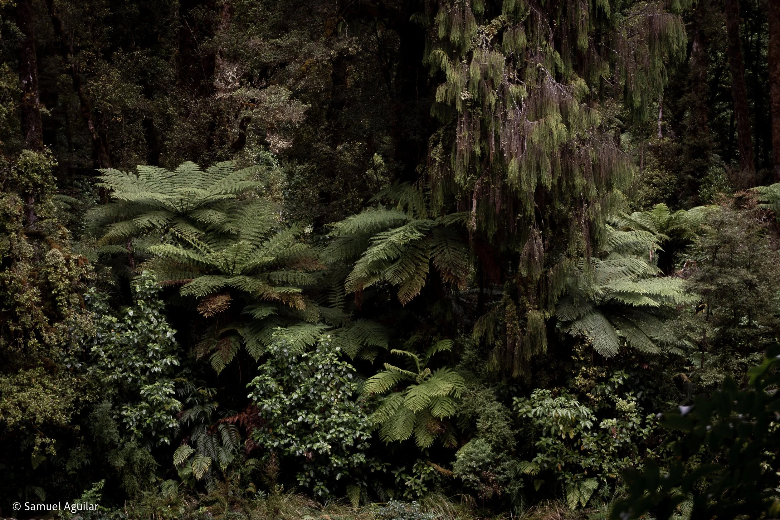 Somewhere remote (West Coast)