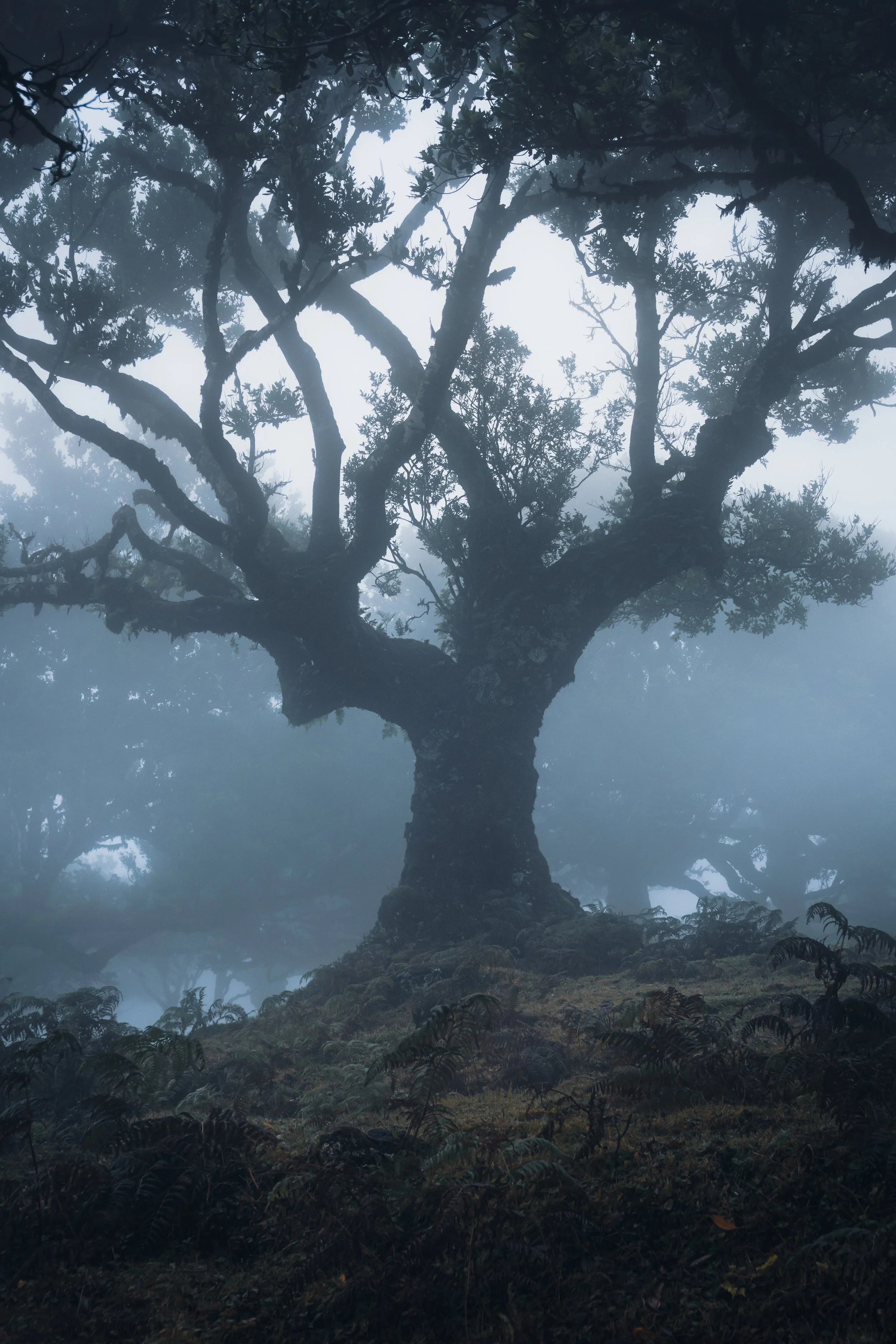 Madeira, Portugal