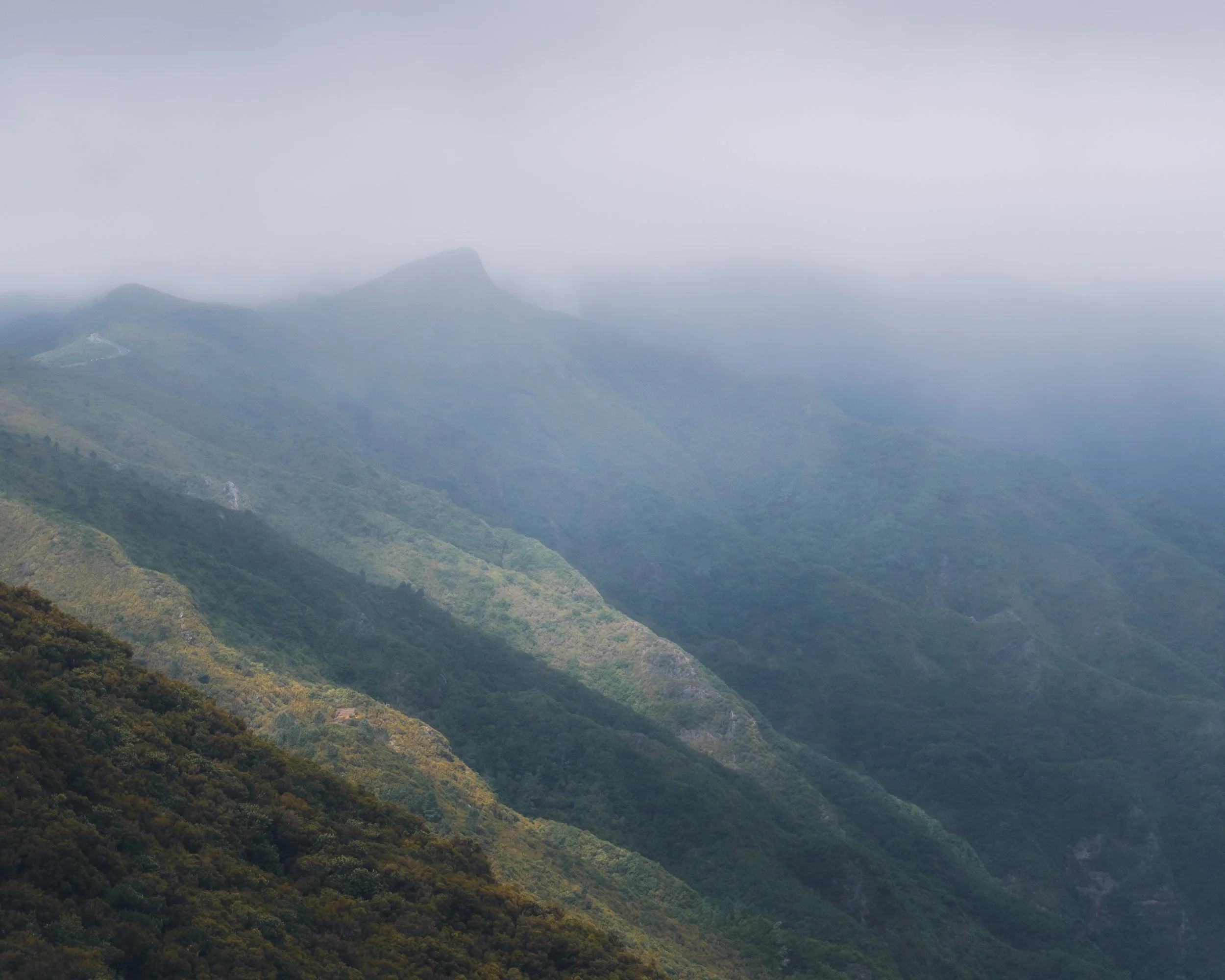 Levada Do Alecrim, Madeira, Portugal #SBM02641
