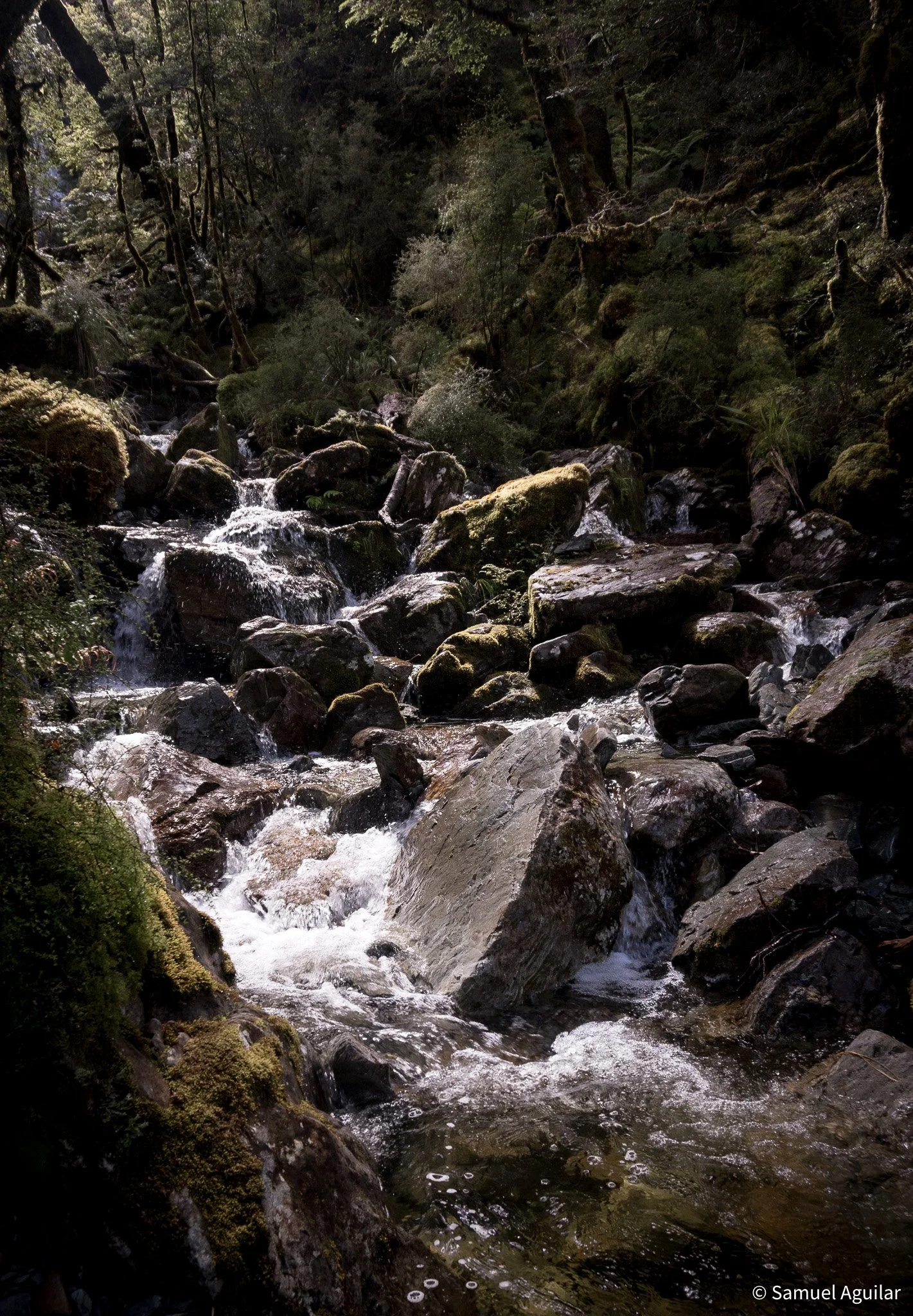 Stream - Routeburn Track