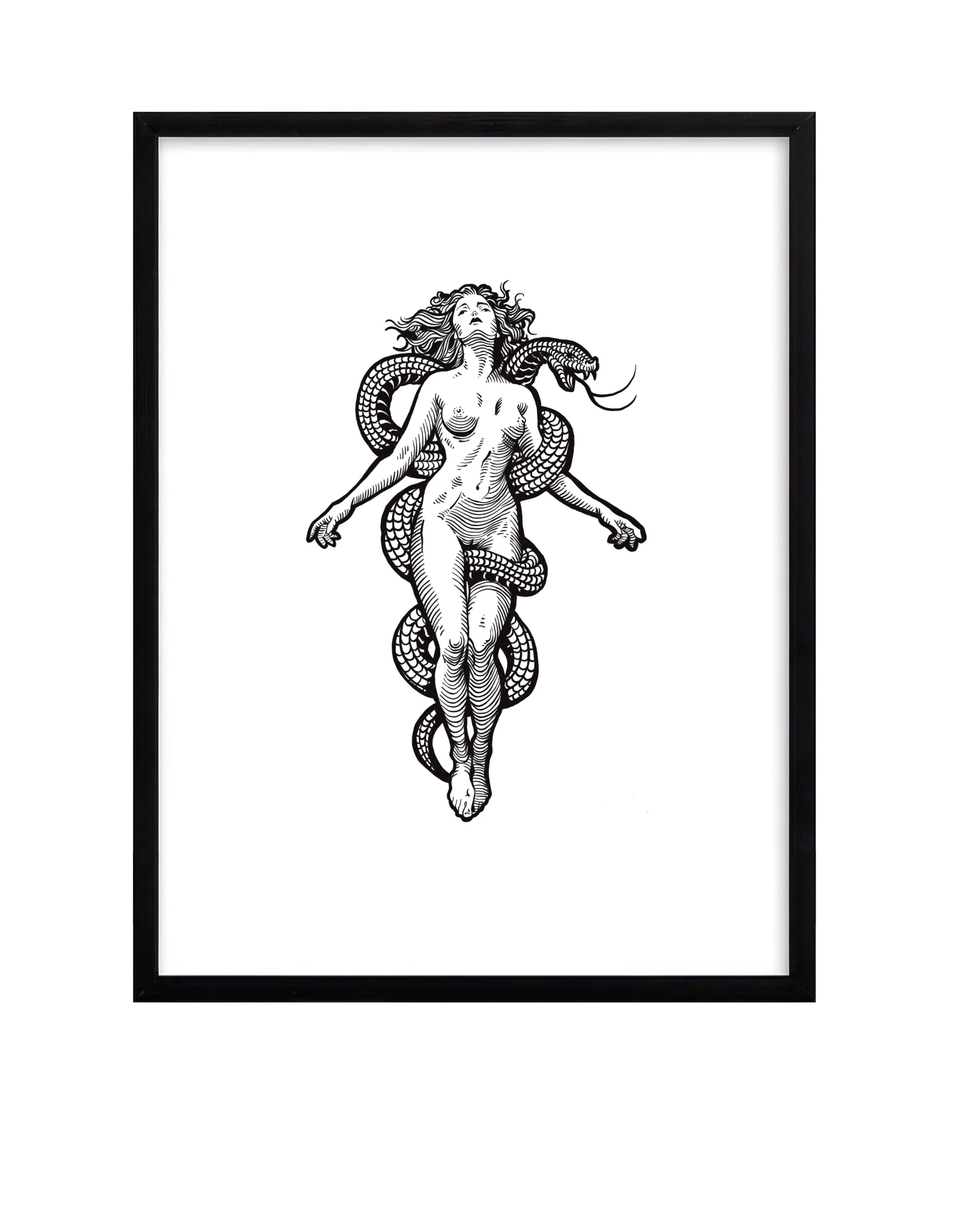 medusa