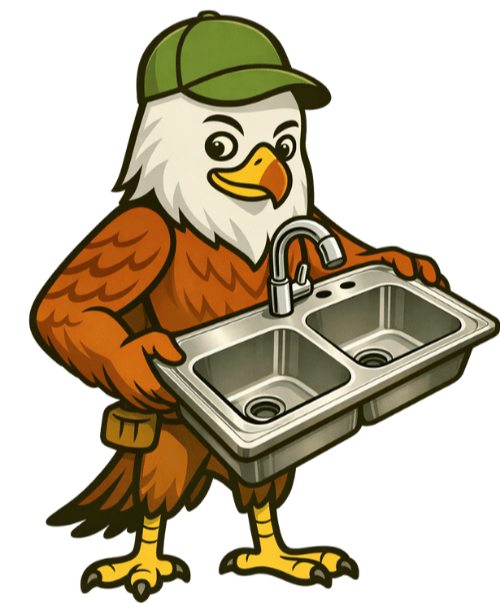 An eagle cartoon character wearing a green cap holding a double kitchen sink.
