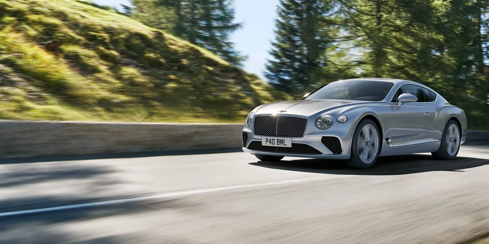 Bentley - Mustard Post