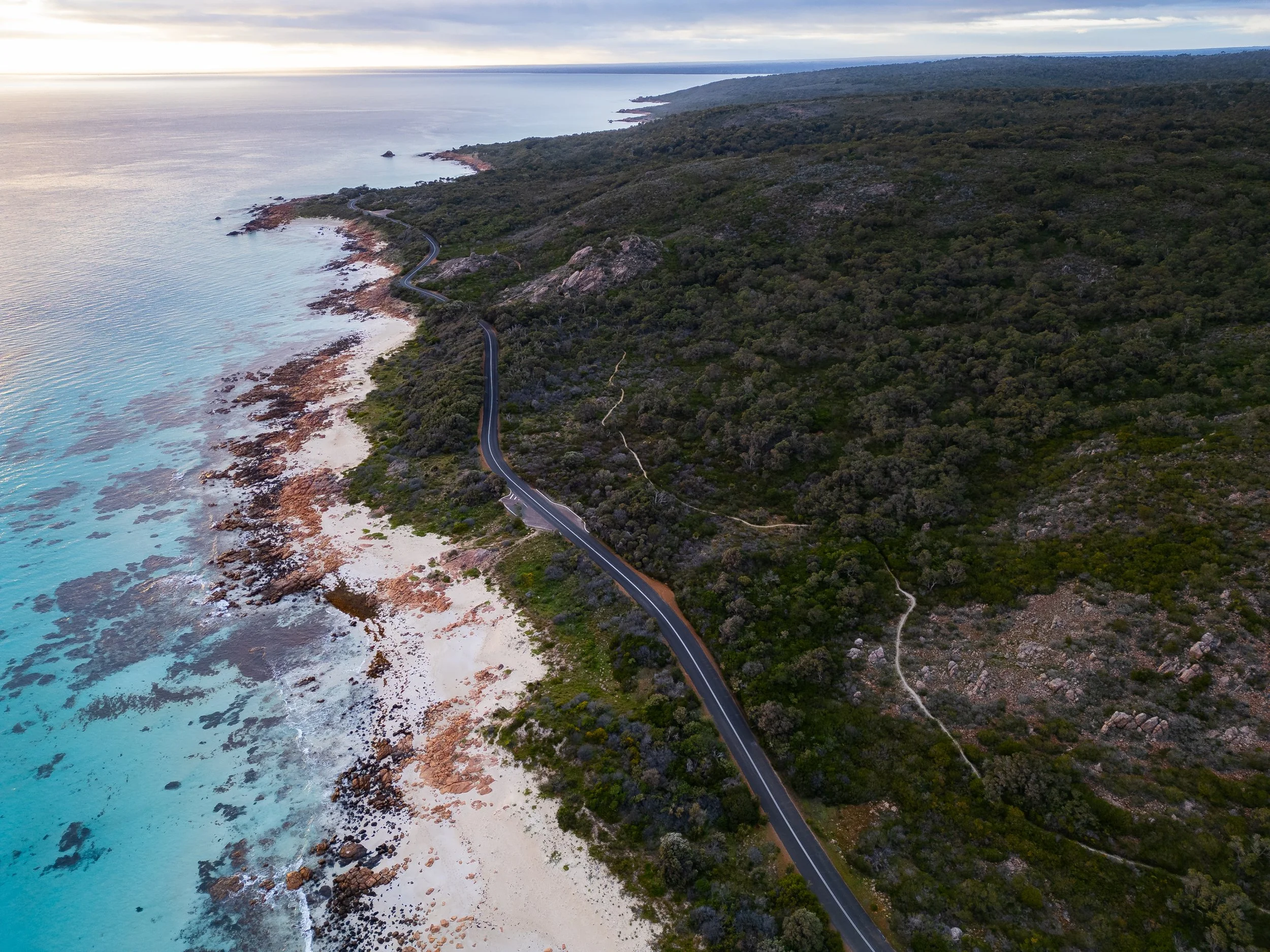 by with baxter i-3.JPG