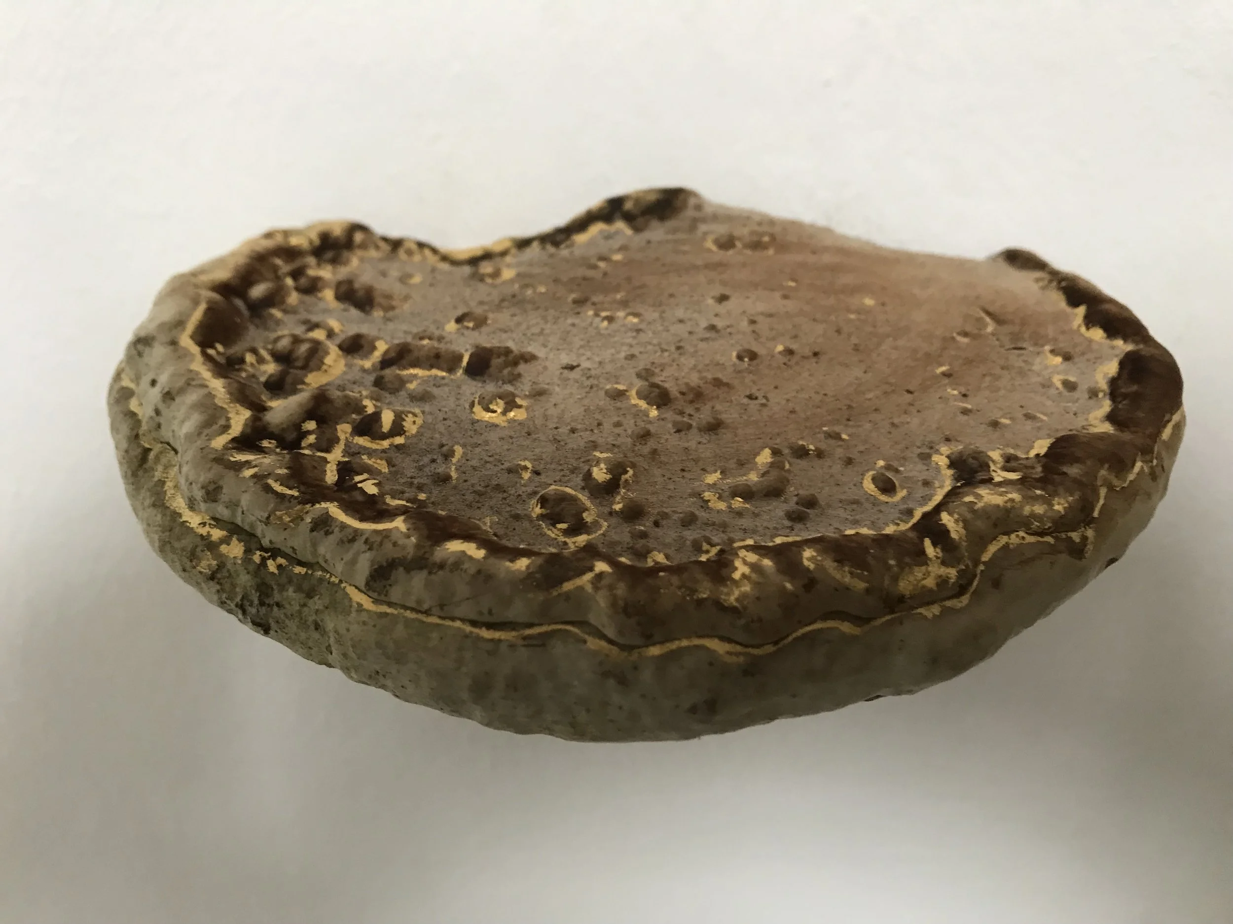 Baumpilz mit Goldzeichnung