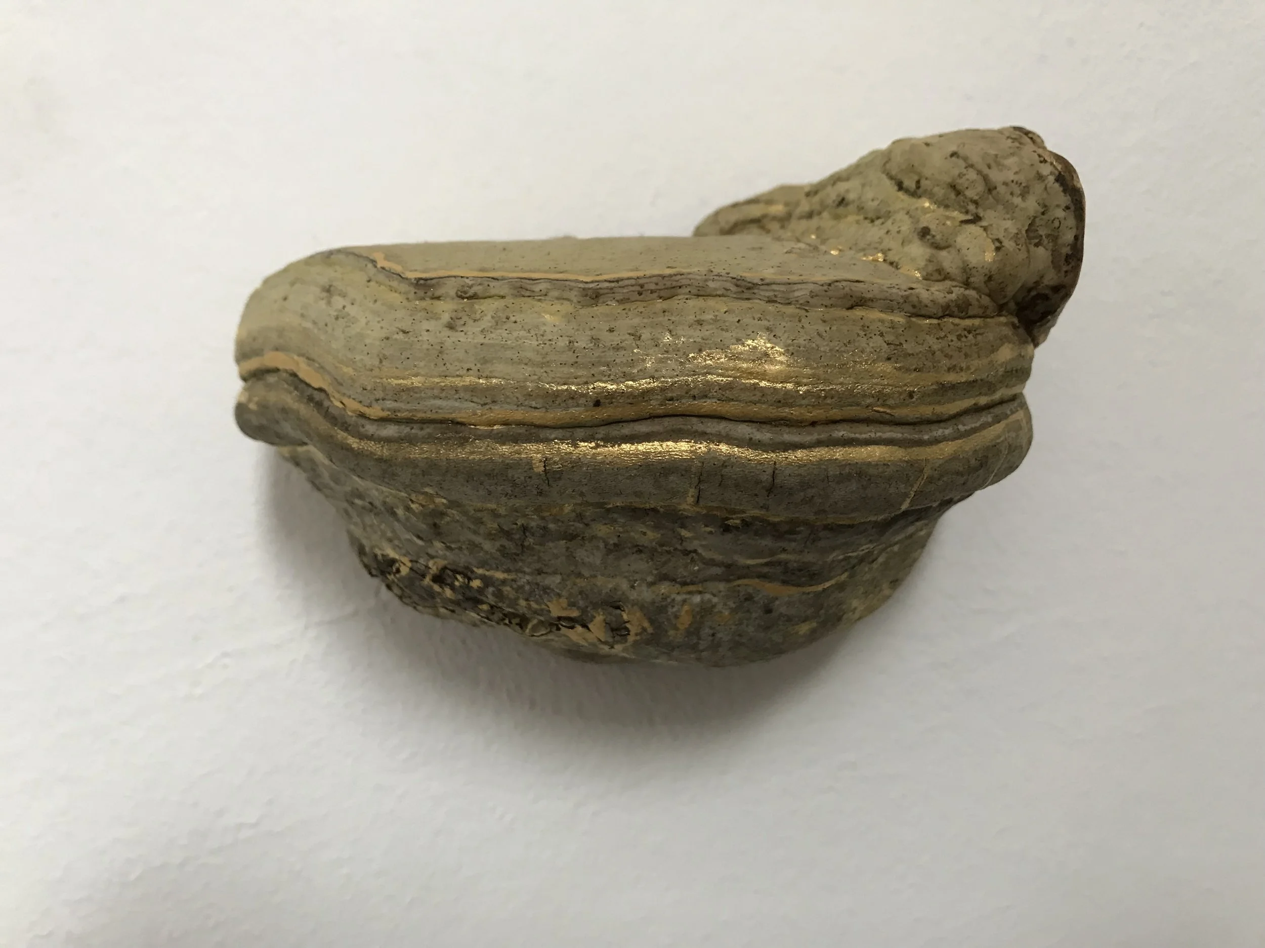 Baumpilz mit Goldzeichnung