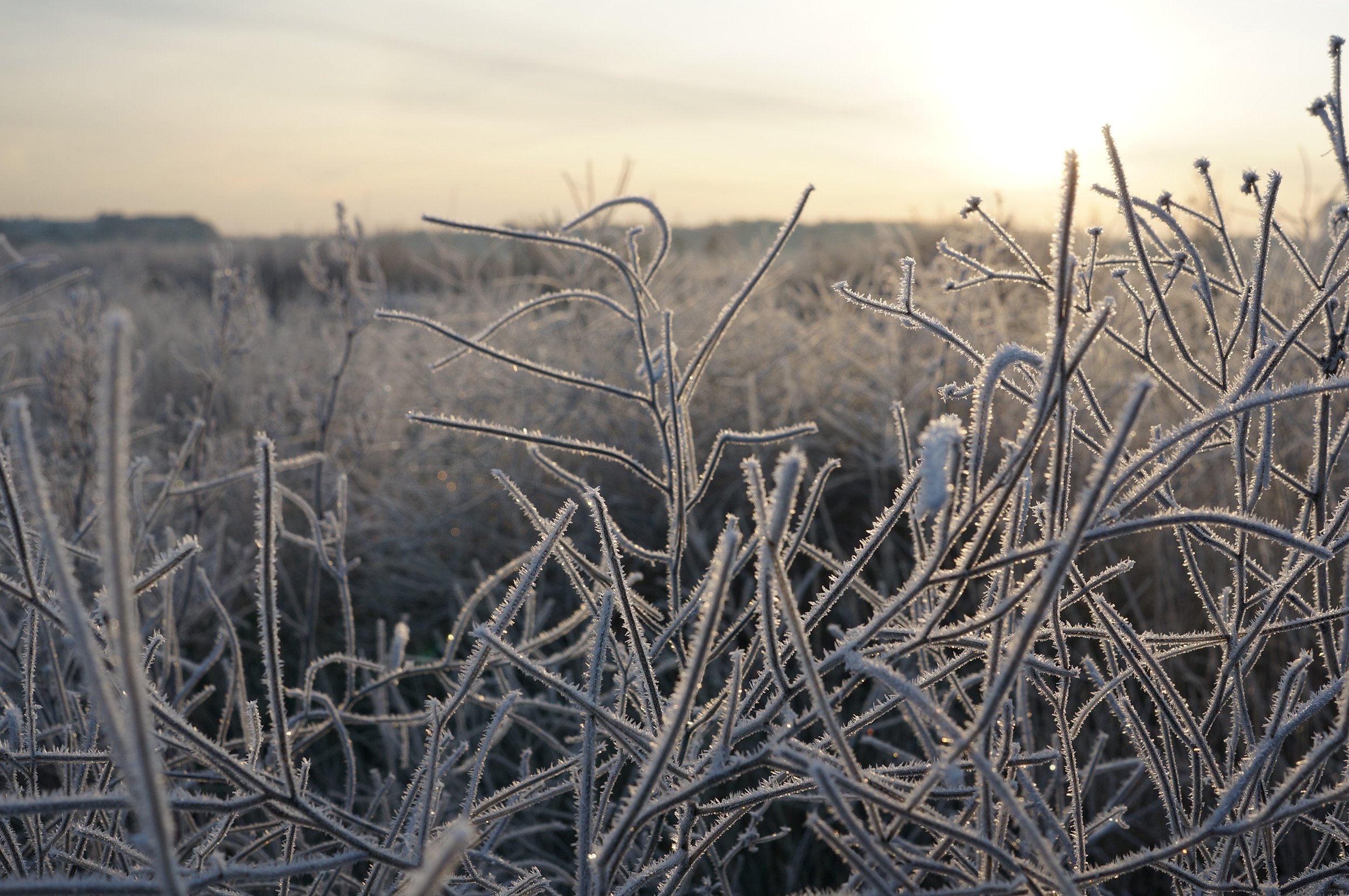 ©aubke_Tempelhof_Winter.JPG
