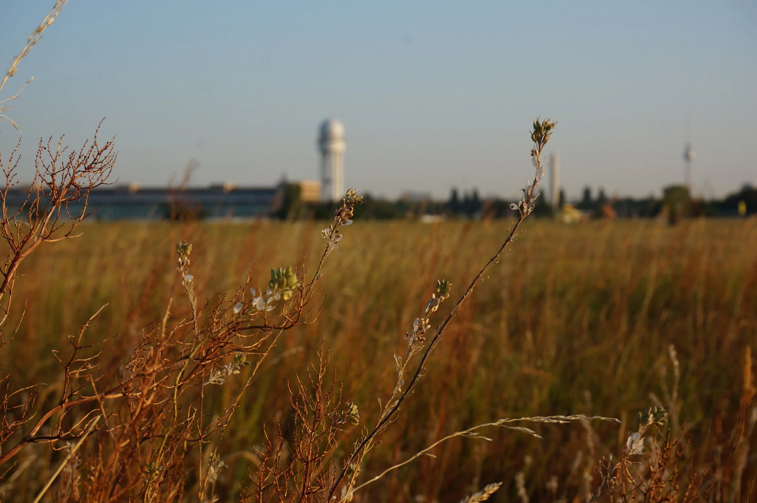 ©aubke_Tempelhof_Herbst.JPG