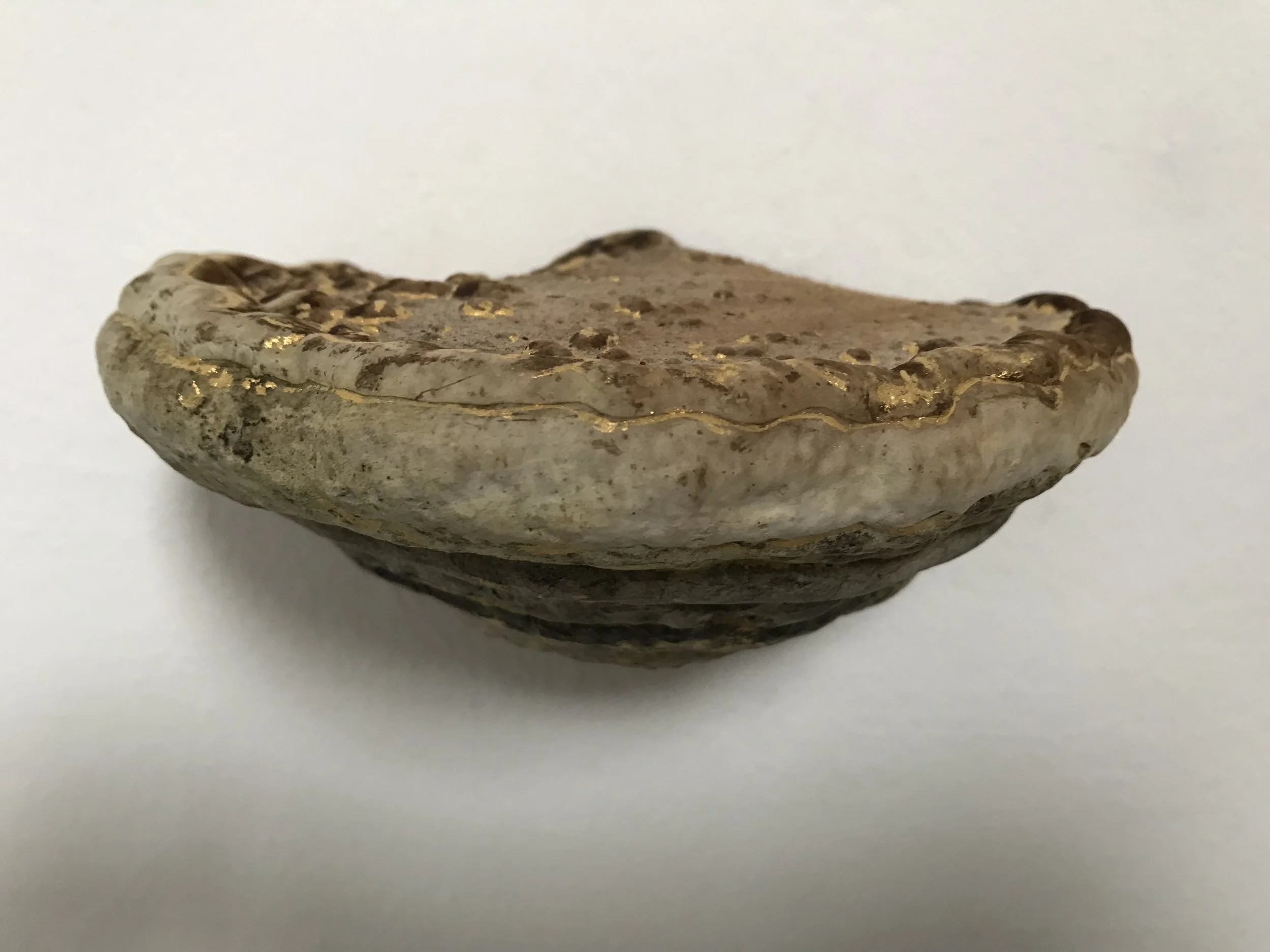 Baumpilz mit Goldzeichnung