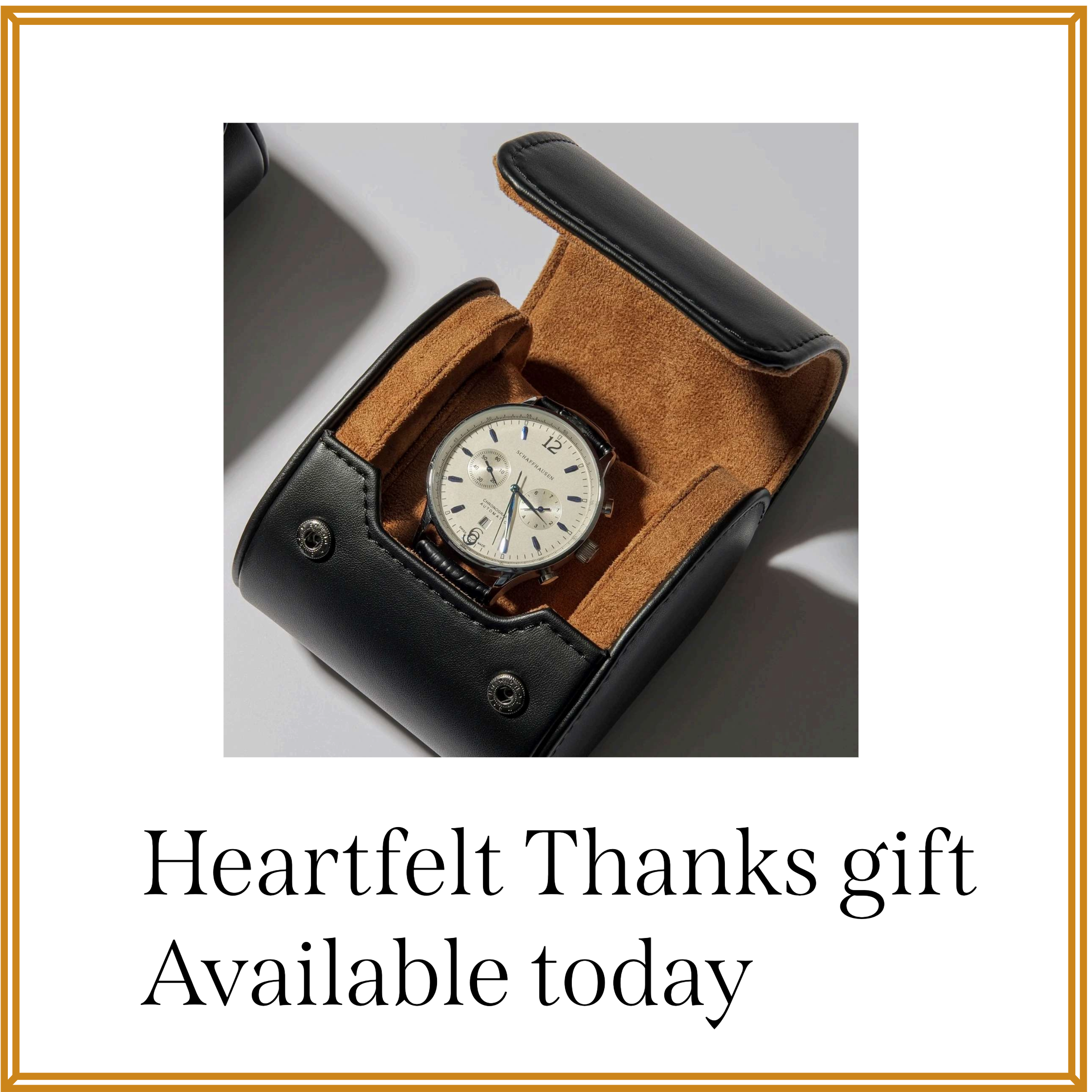 Leather suede Watch case - September 09, 2026 at 21.07.04.png