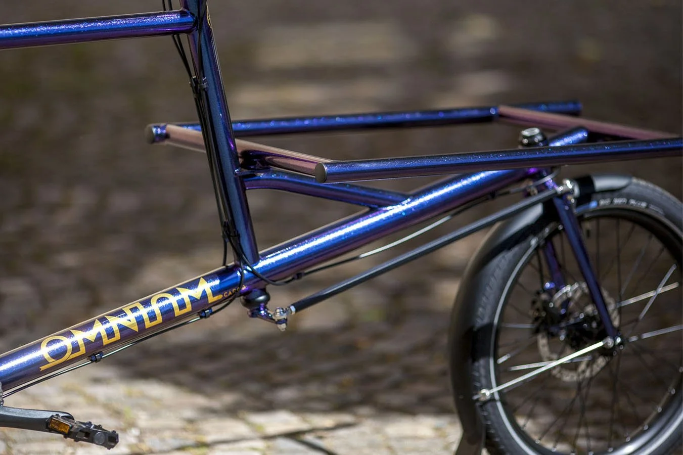 Un vélo avec cadre bleu métallique et roue arrière vue de côté, sur un chemin en extérieur.