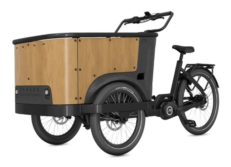 cargo-e-bike-cangoo-buckle-up-noirbois-5.png