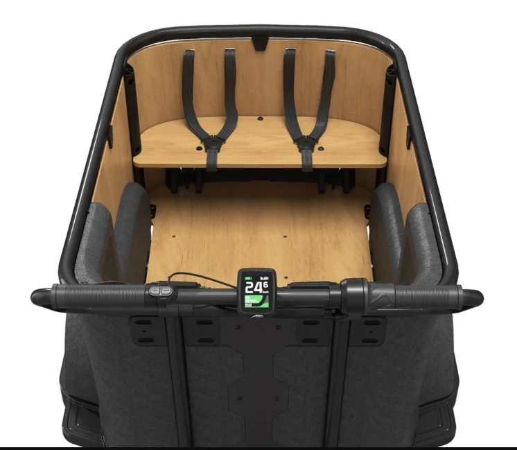 cargo-e-bike-cangoo-buckle-up-noirbois-7.png
