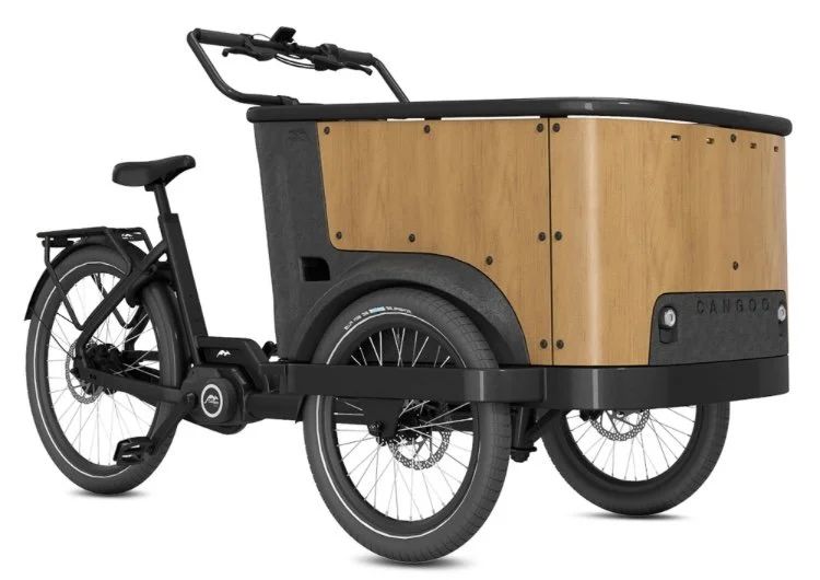 cargo-e-bike-cangoo-buckle-up-noirbois-1.png