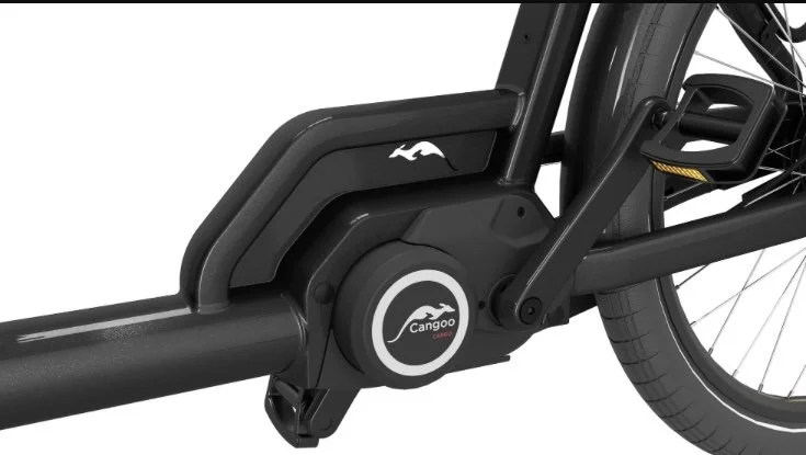 cargo-e-bike-cangoo-buckle-up-noirbois-8.png