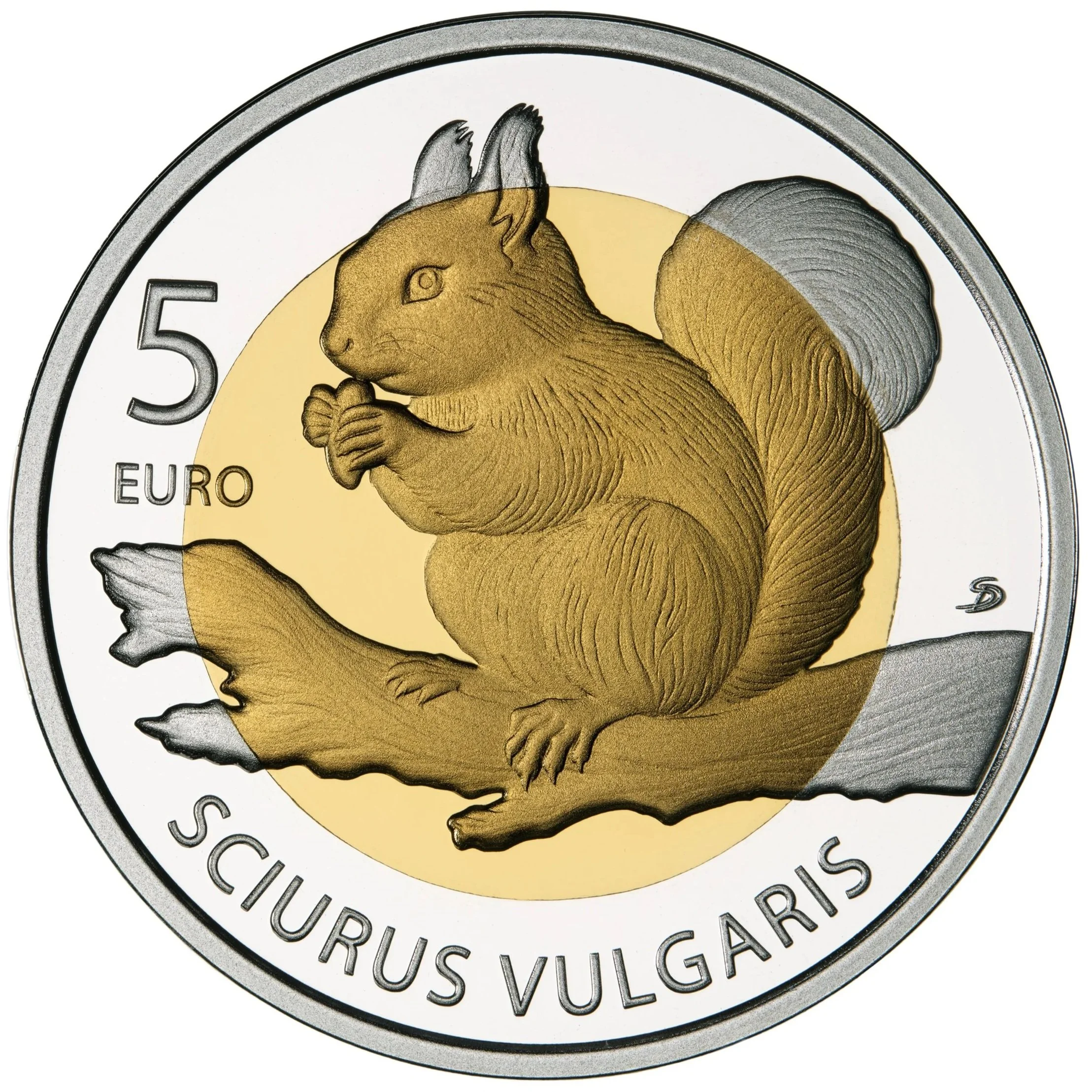 Red Squirrel 2026