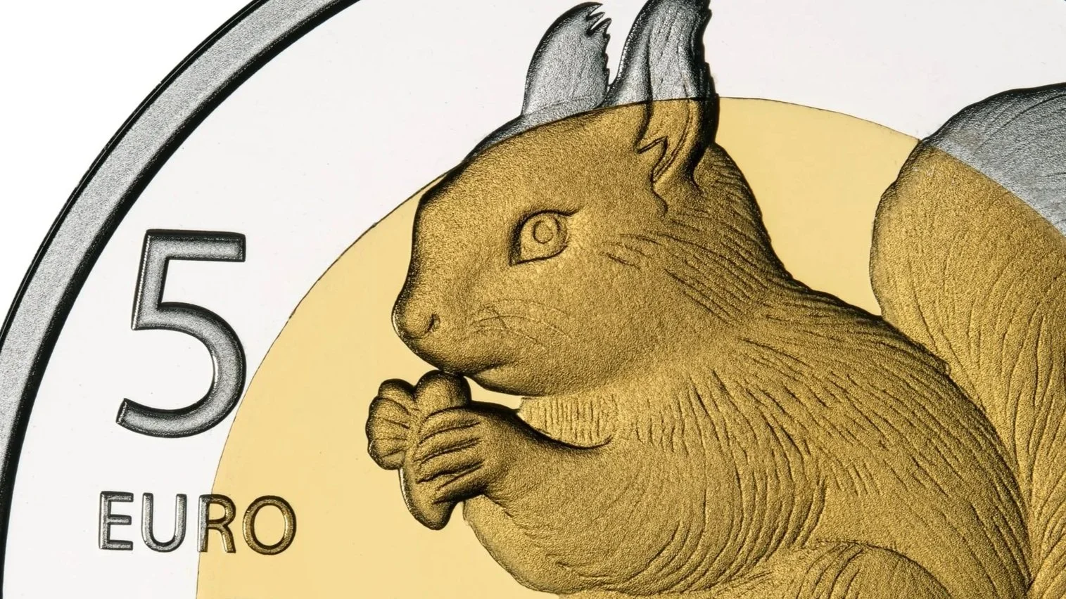 Red Squirrel 2026