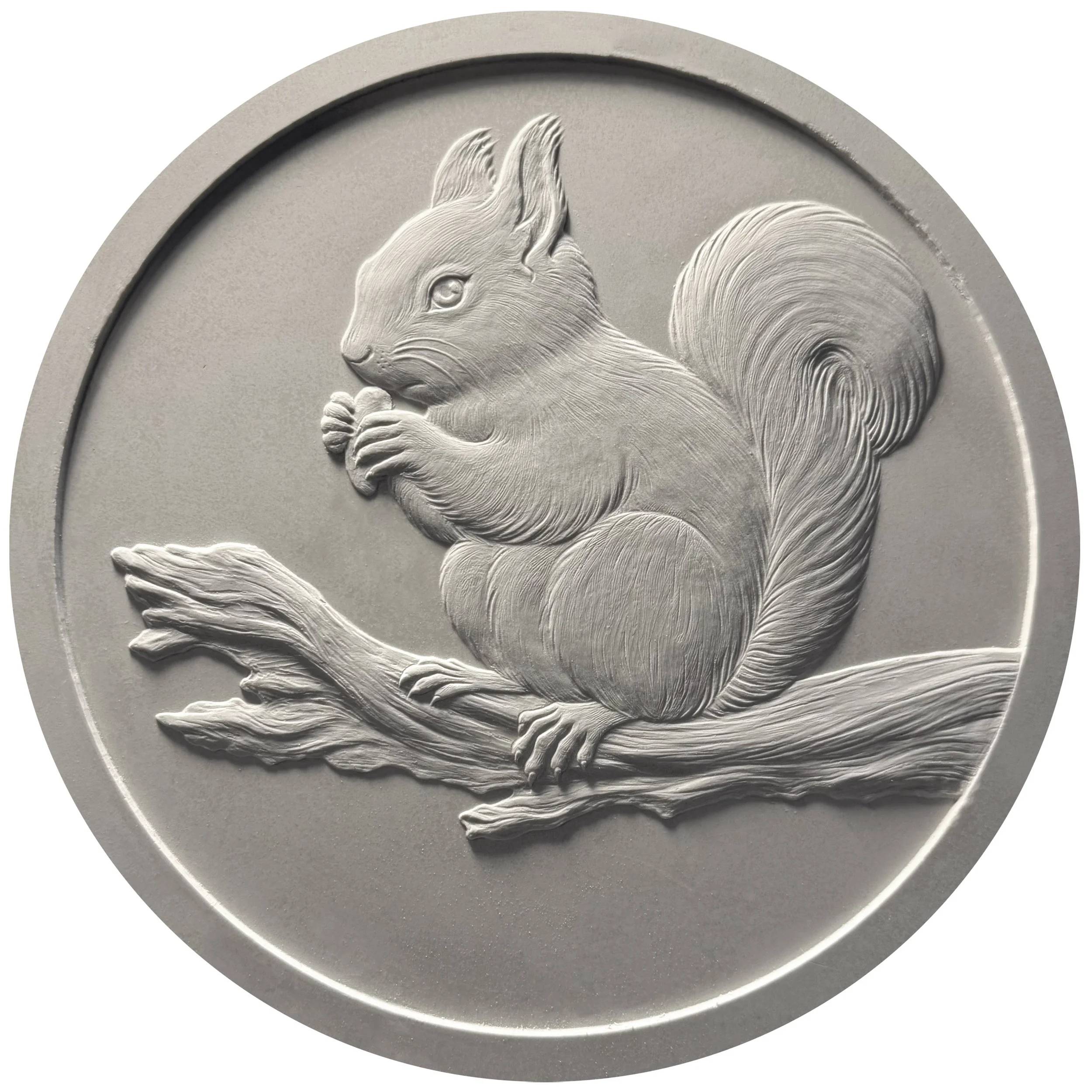 Red squirrel.jpg