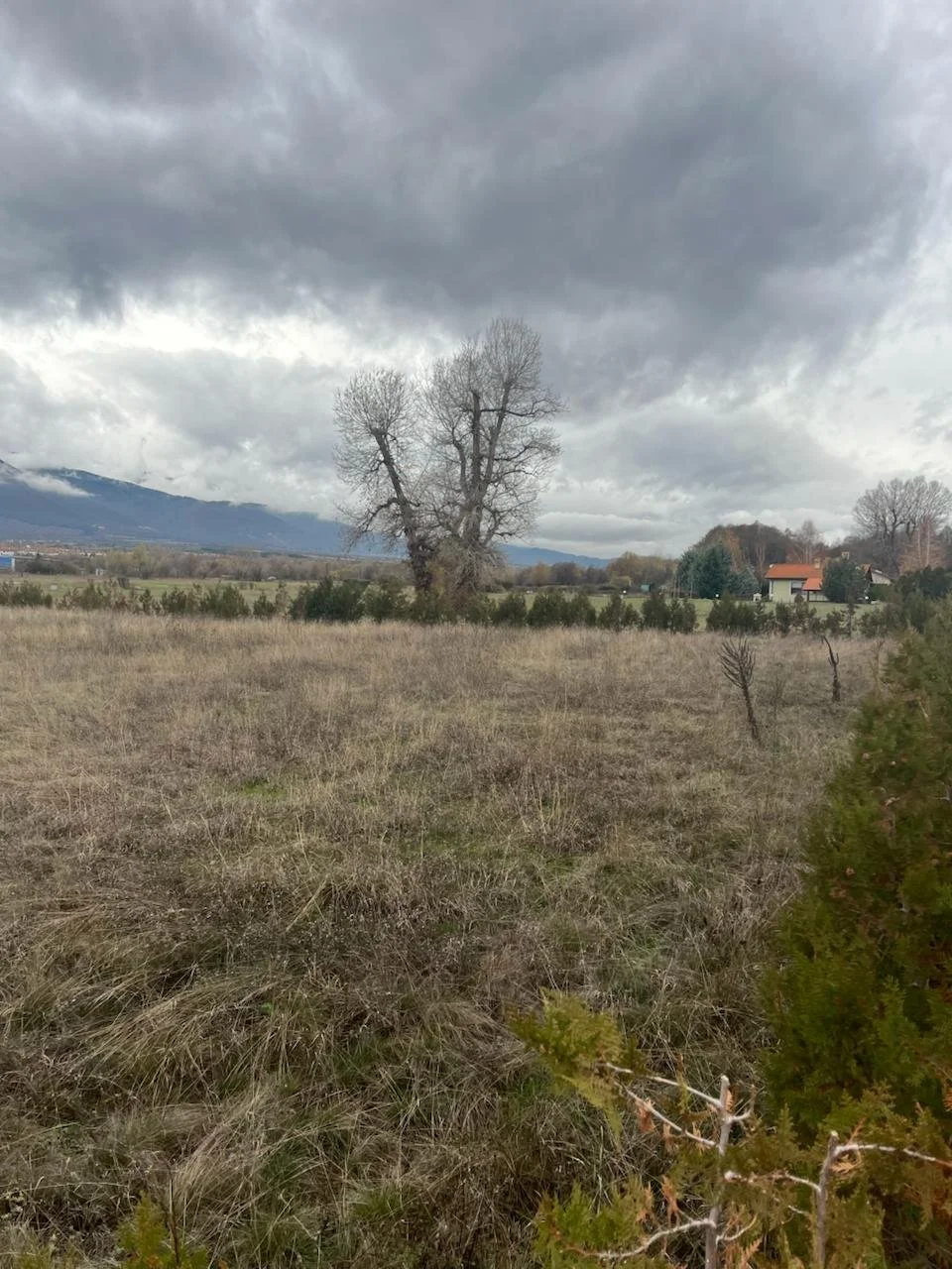 photo_2025-12-18 07.31.50.jpeg