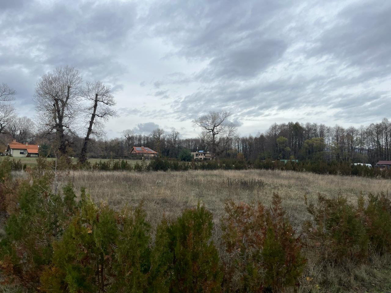 photo_2025-12-18 07.31.36.jpeg