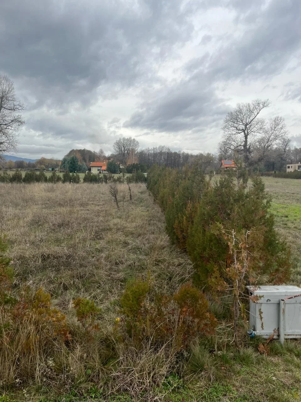 photo_2025-12-18 07.31.45.jpeg