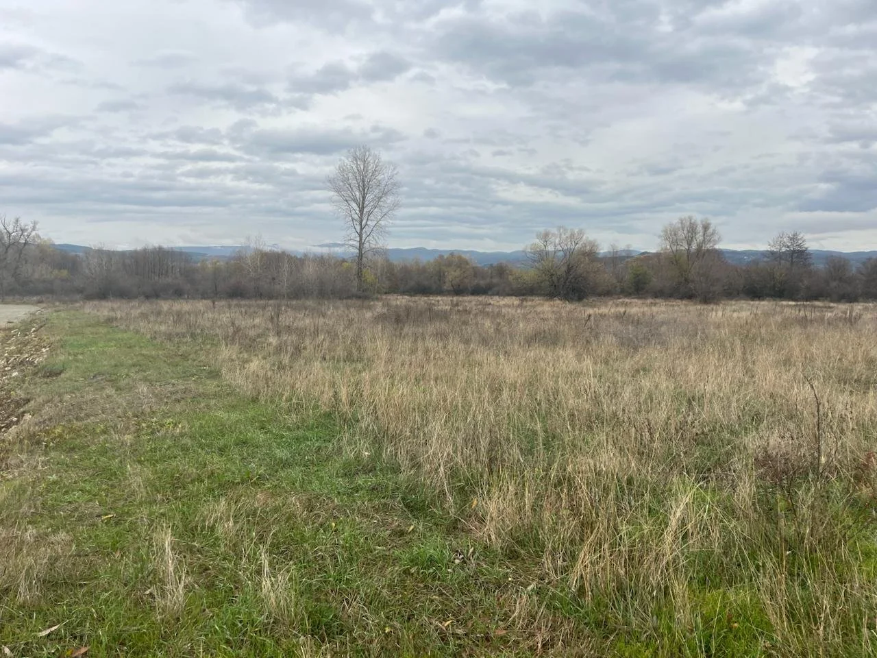 photo_2025-12-18 07.31.58.jpeg