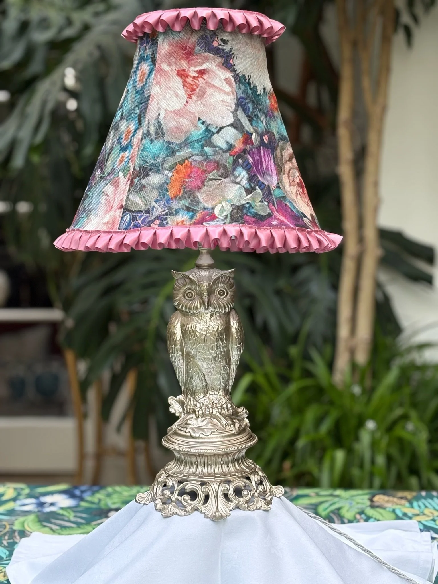 Owl at Home