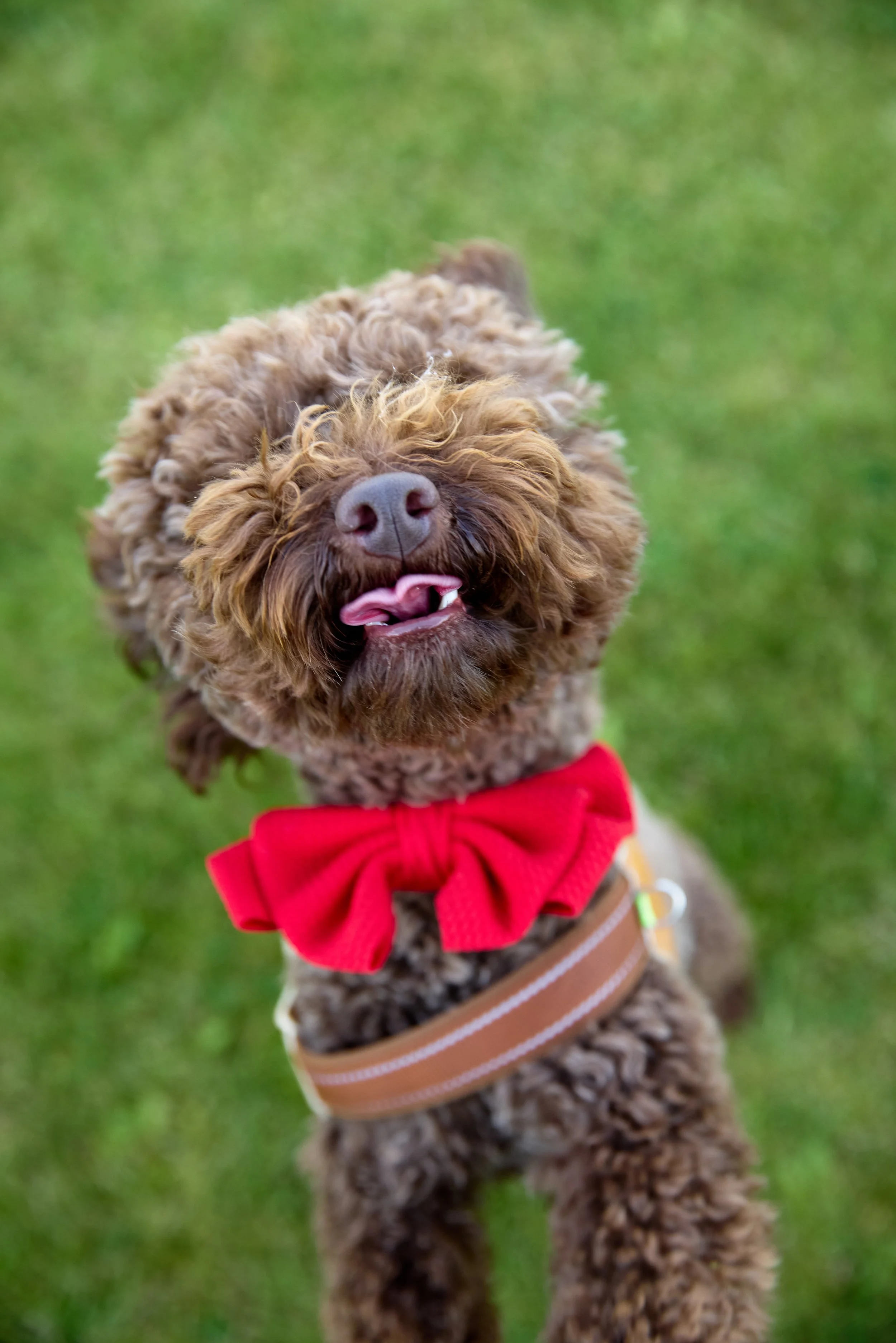 Gabija ir Armantas 317.jpg