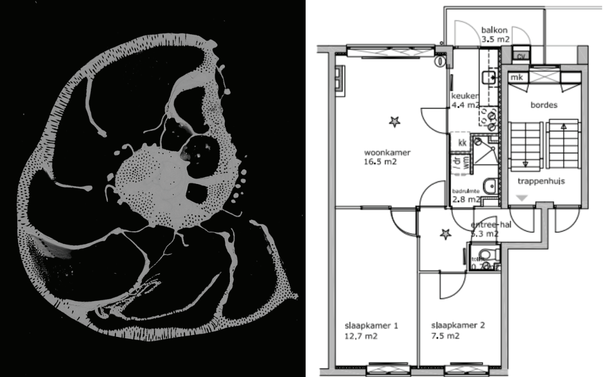 Esmee Geerken: On macro- and microscopic houses