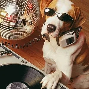 dj_streamer.2880x0.jpg