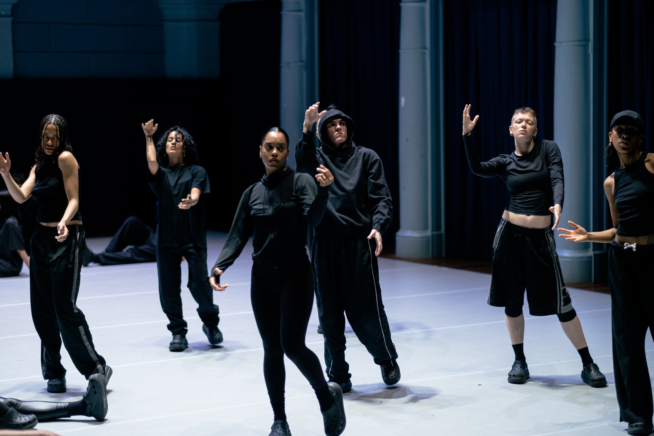WhyNot X ADE: Elisa Zuppini - Disambiguation