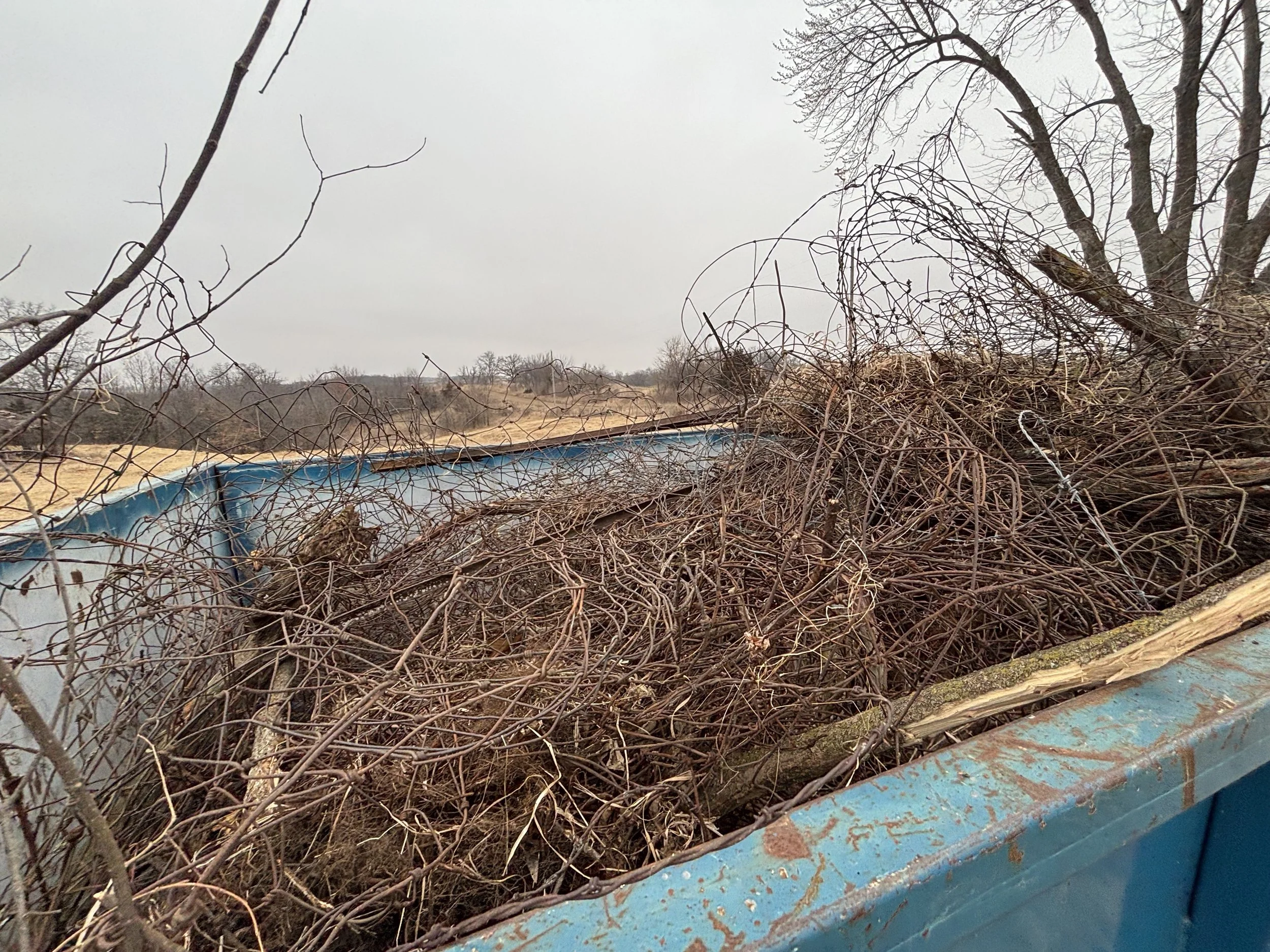 A rusty blue metal dumpster filled with dried branches and wood sticks, set outdoors on a cloudy day with leafless trees and an overcast sky in the background.
