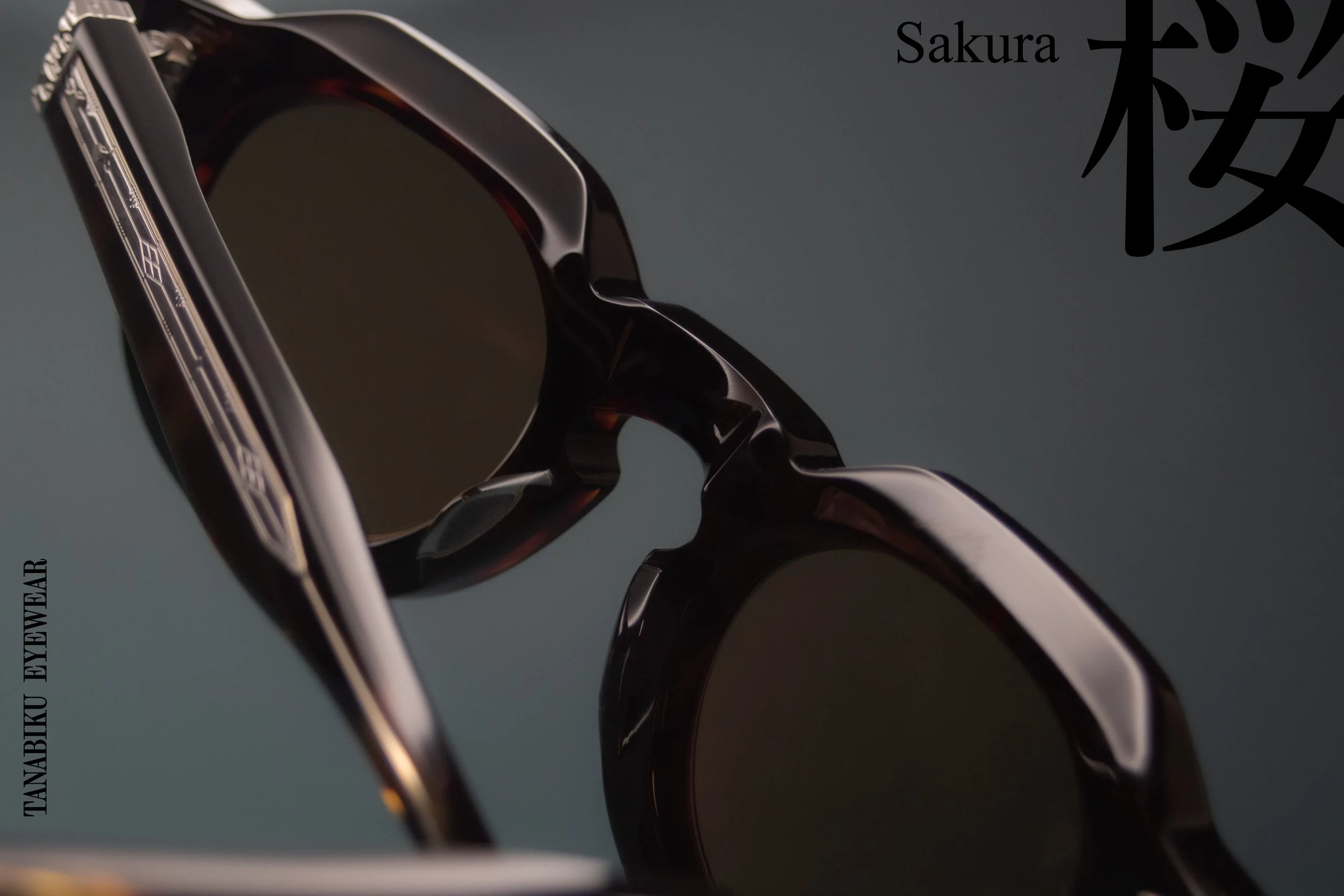 Sakura_T2_edit.jpg