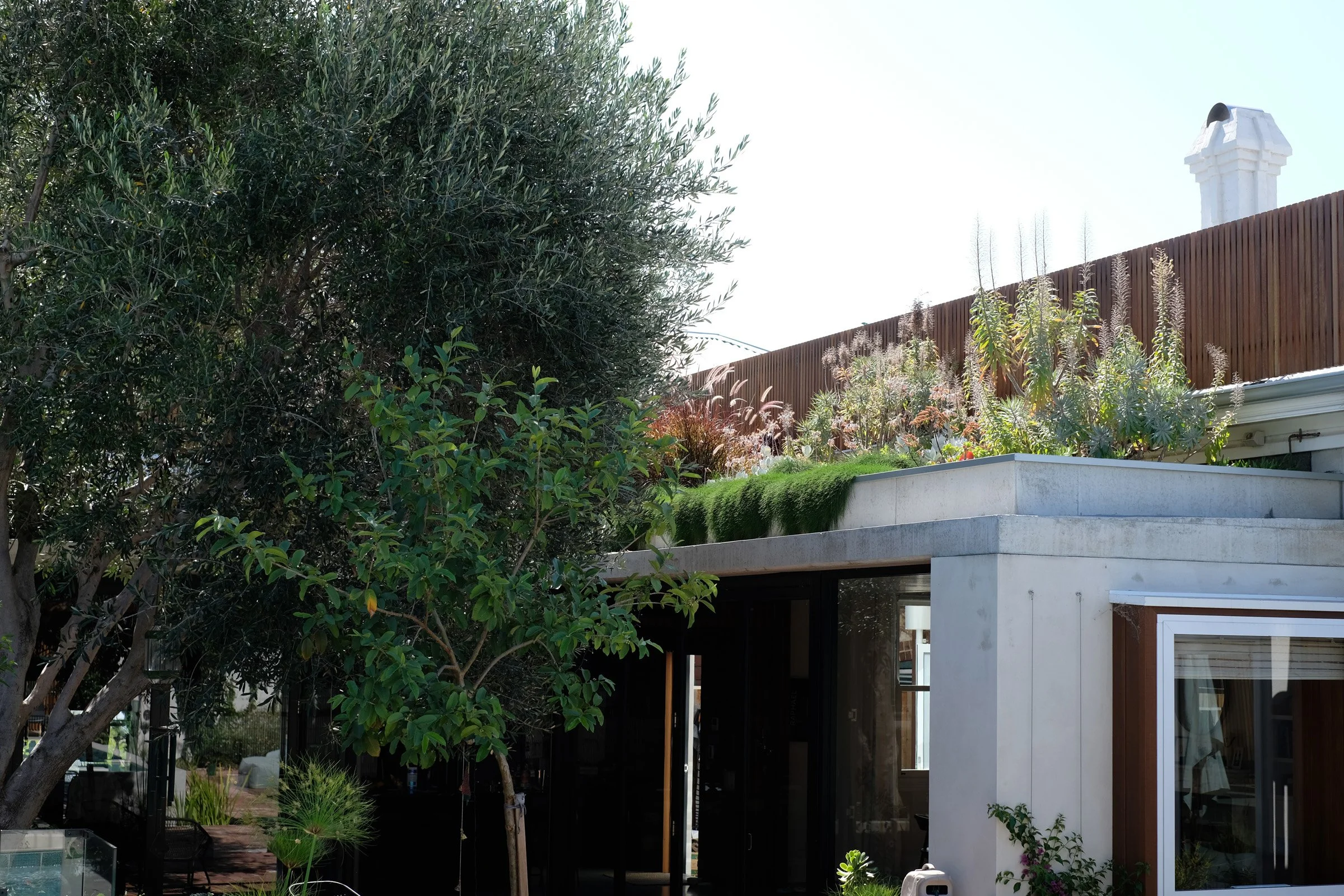 Modern house with a rooftop garden, wooden fence, and large trees in the yard.