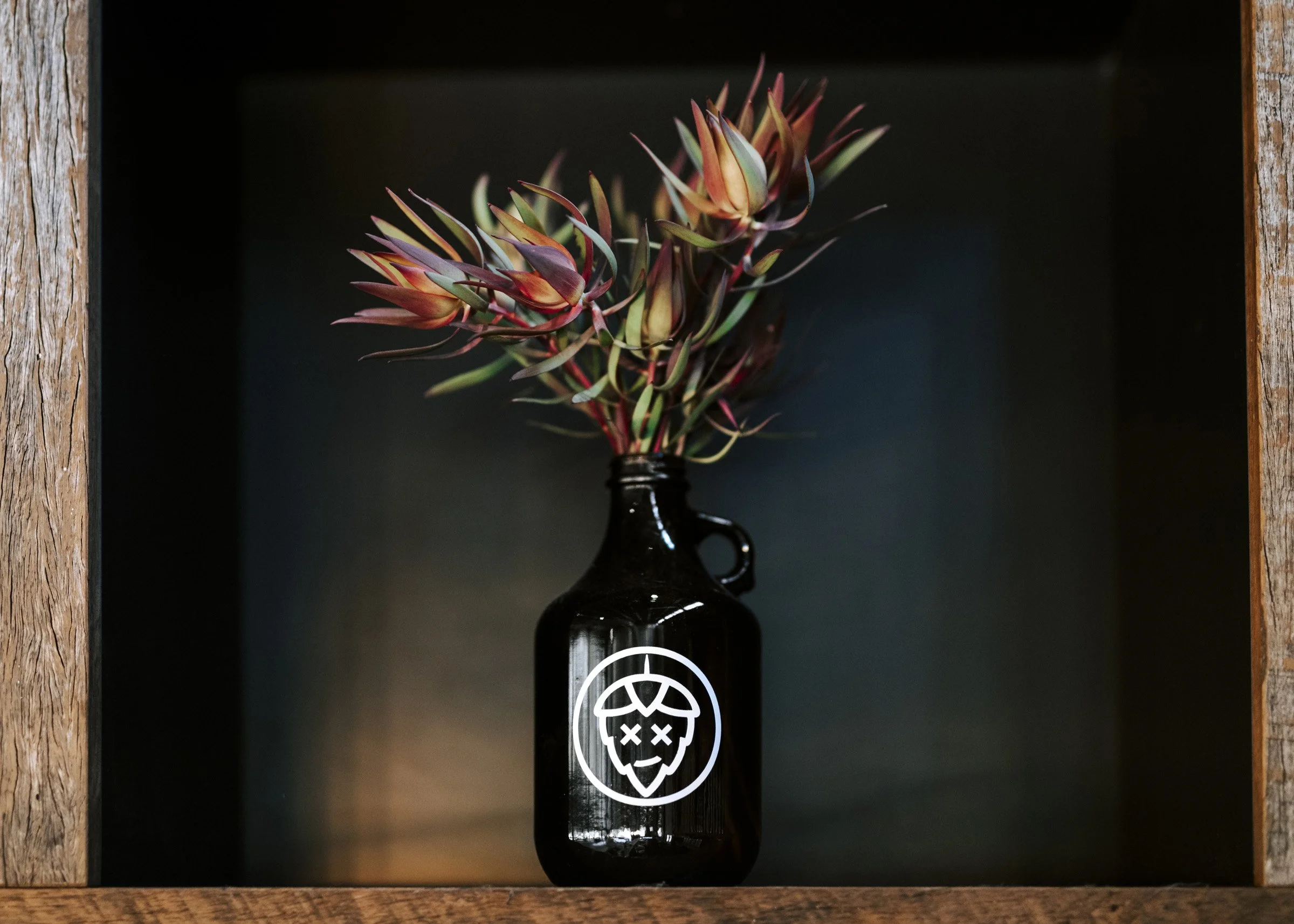 Wild-Hop-Brewery-Joshua-Brook-Tim-Pardoe-Ricky-Gestro-Craft-Beer (75).jpg