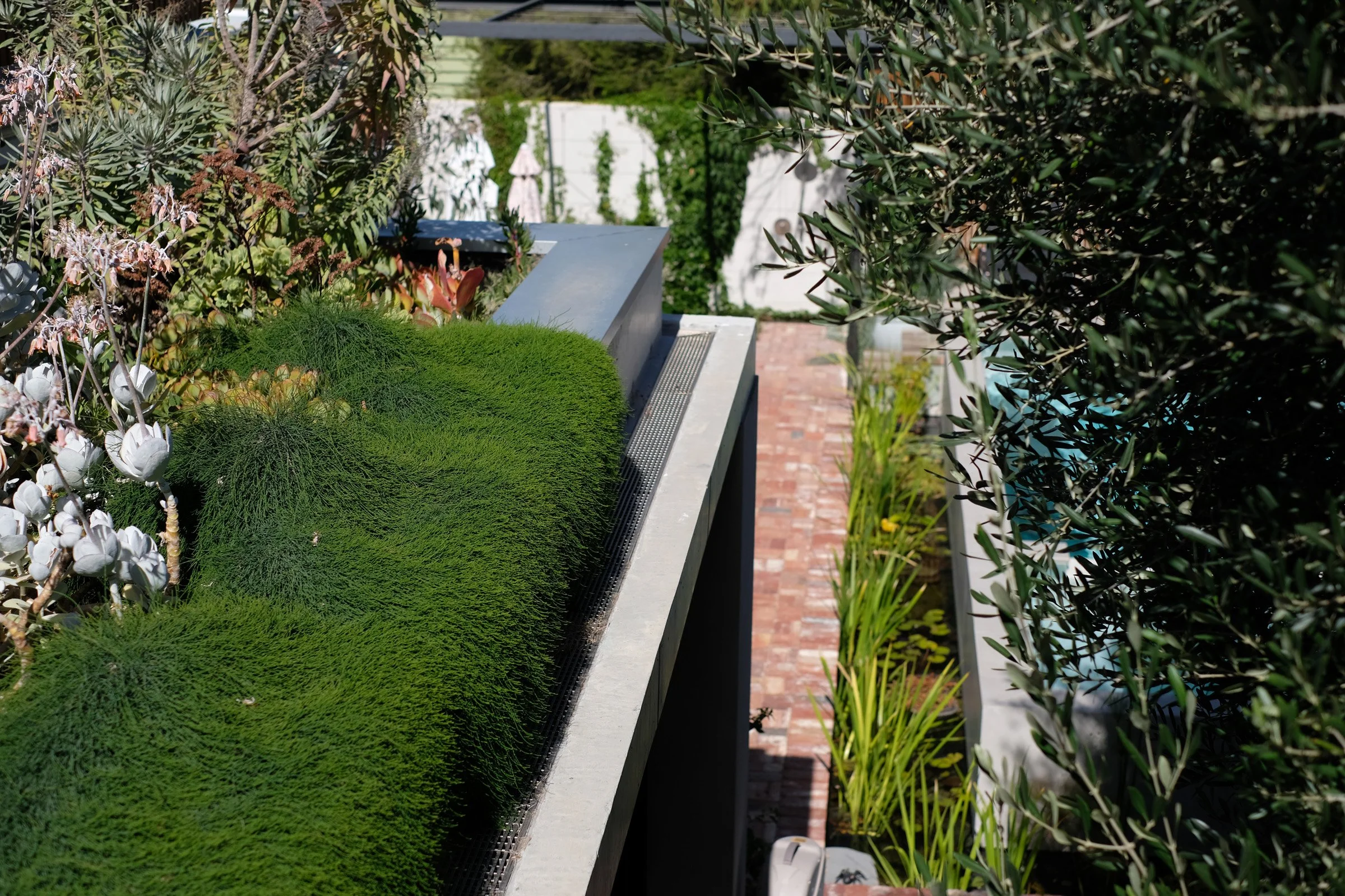 Close-up of a modern outdoor garden planter with lush green moss and plants, surrounded by lush foliage and a brick walkway in the background.