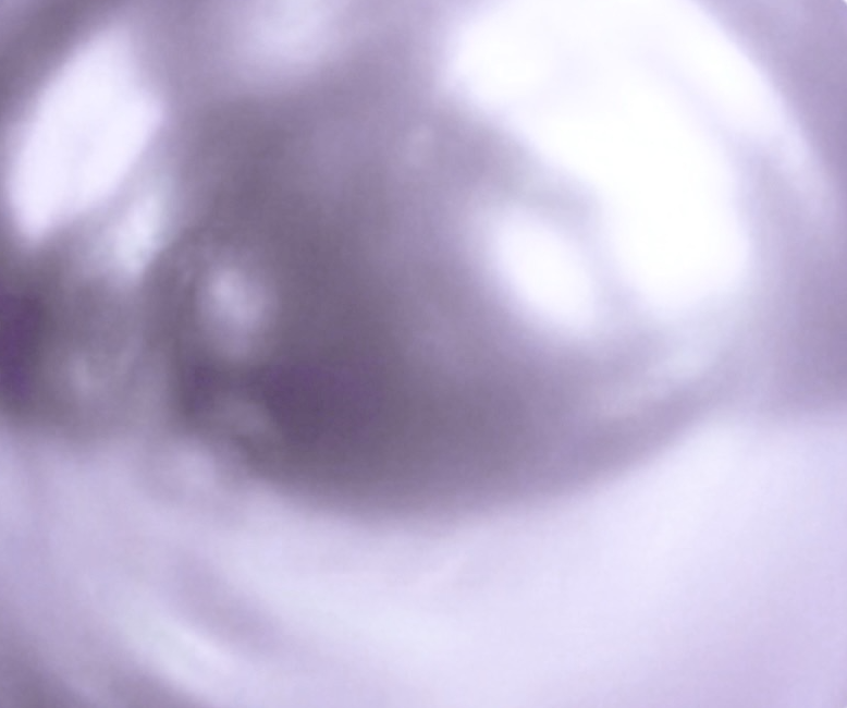 Screenshot 2026-08-24 at 4.40.15 PM.png