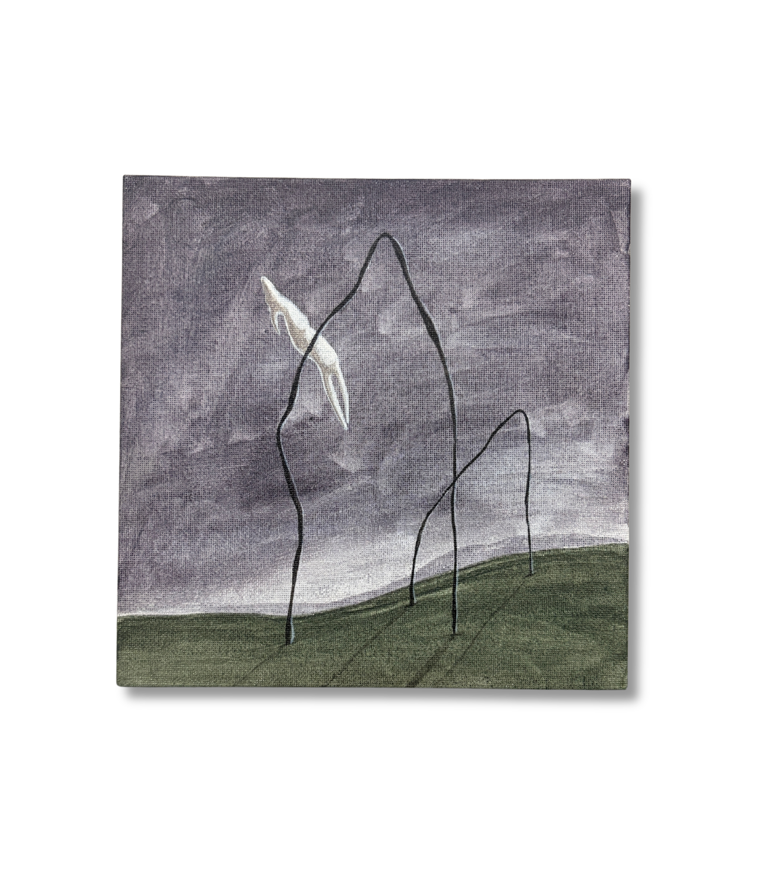 82f71d35-4939-4feb-b80e-c6d2fa3201d4.png