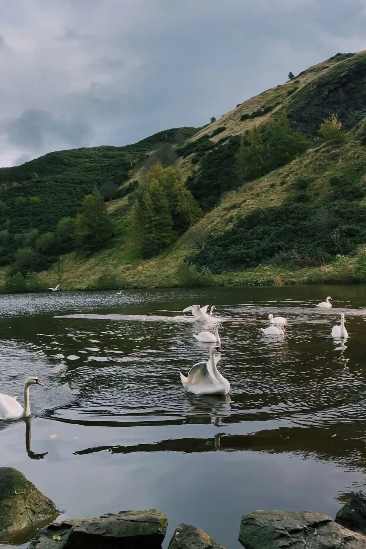 Reflection: December Nature Notes to Notice (Part Two)