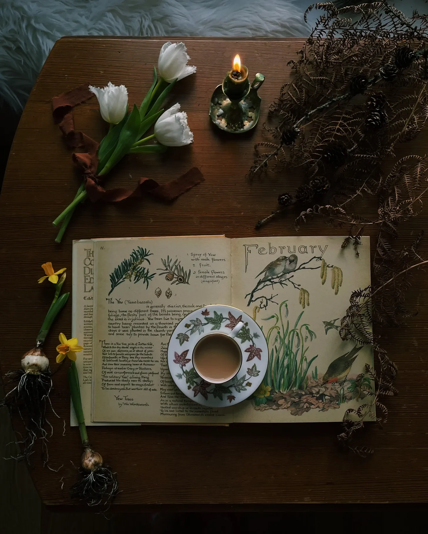 Activity: What I've Been Reading This Winter