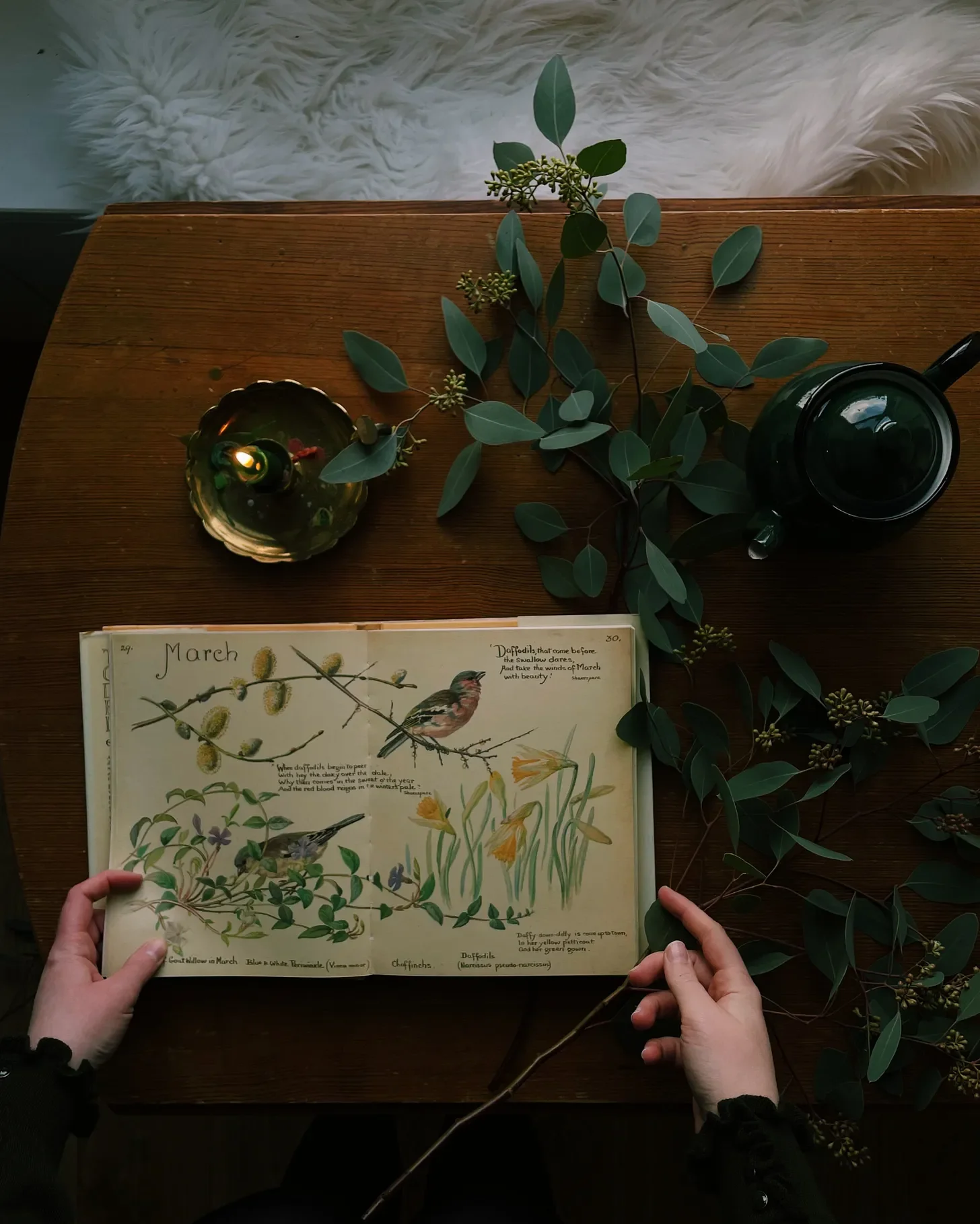 Reflection: Nature Notes To Notice