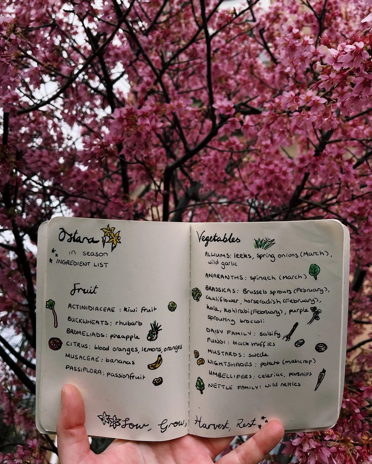 Recipe: Ingredients In Season