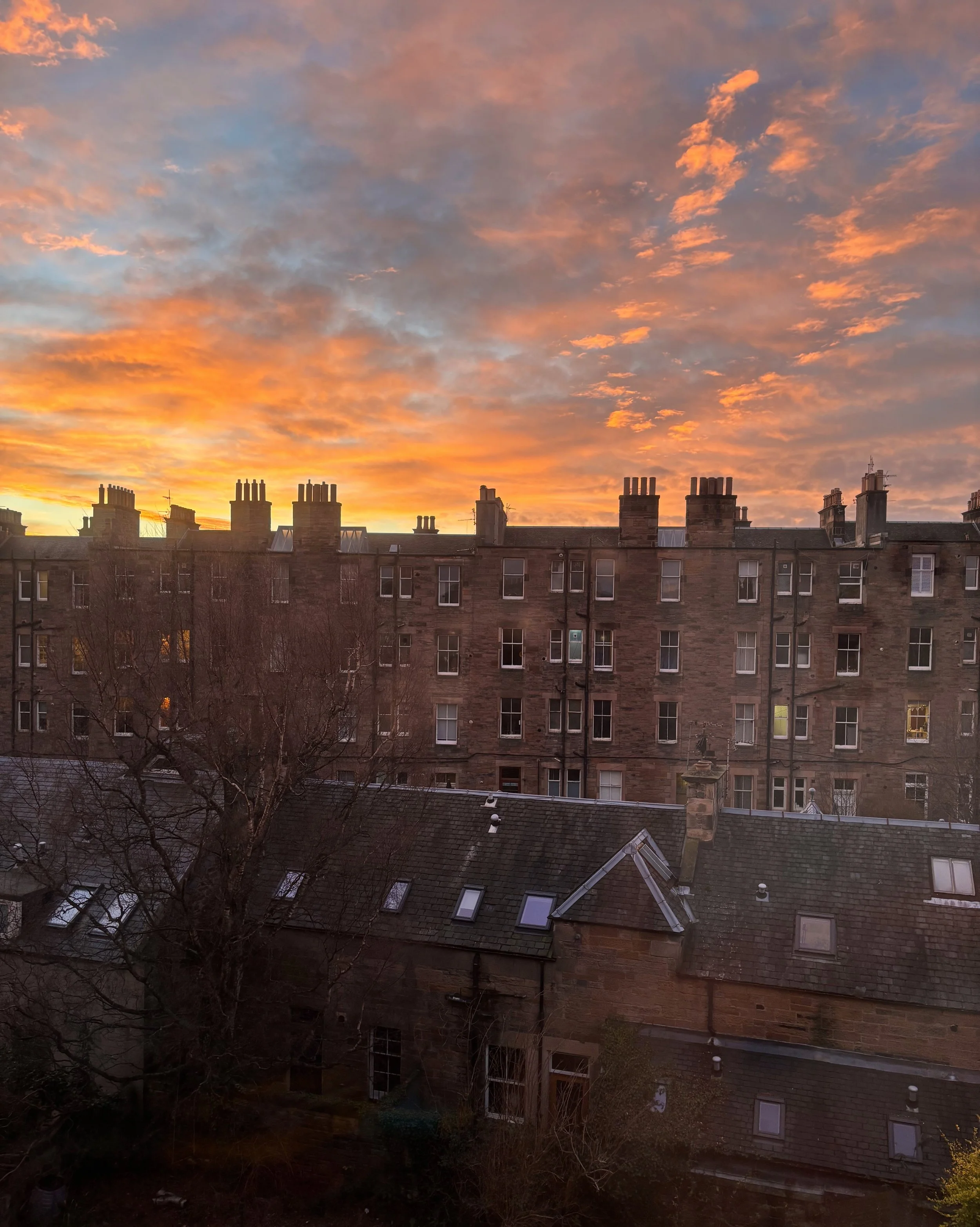 Reflection: Yule Glimmers