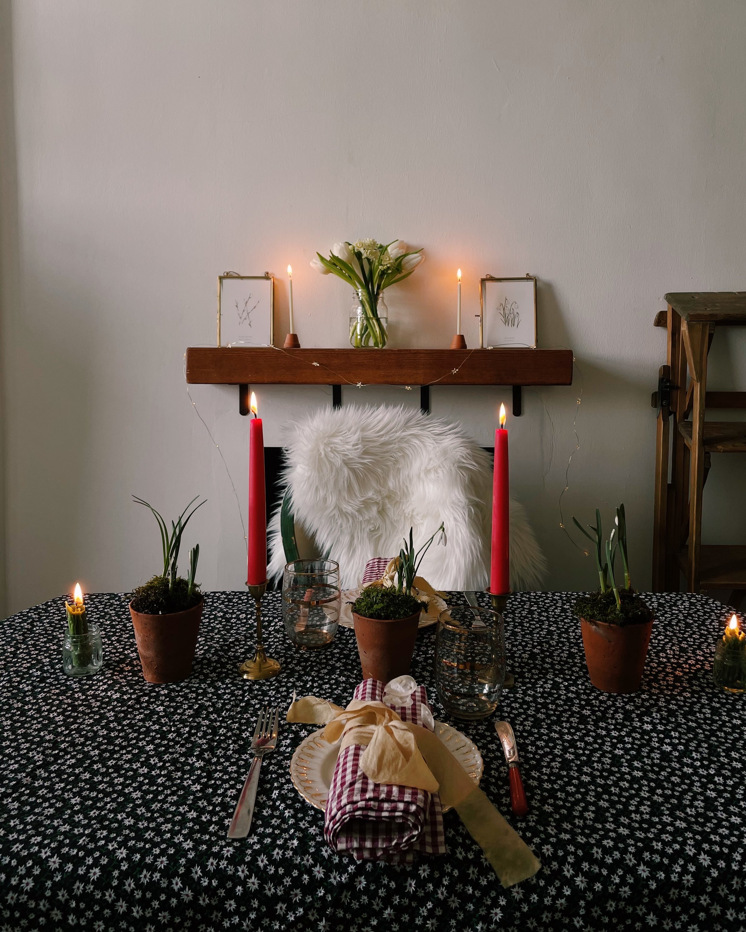 Reflection: Imbolc Glimmers