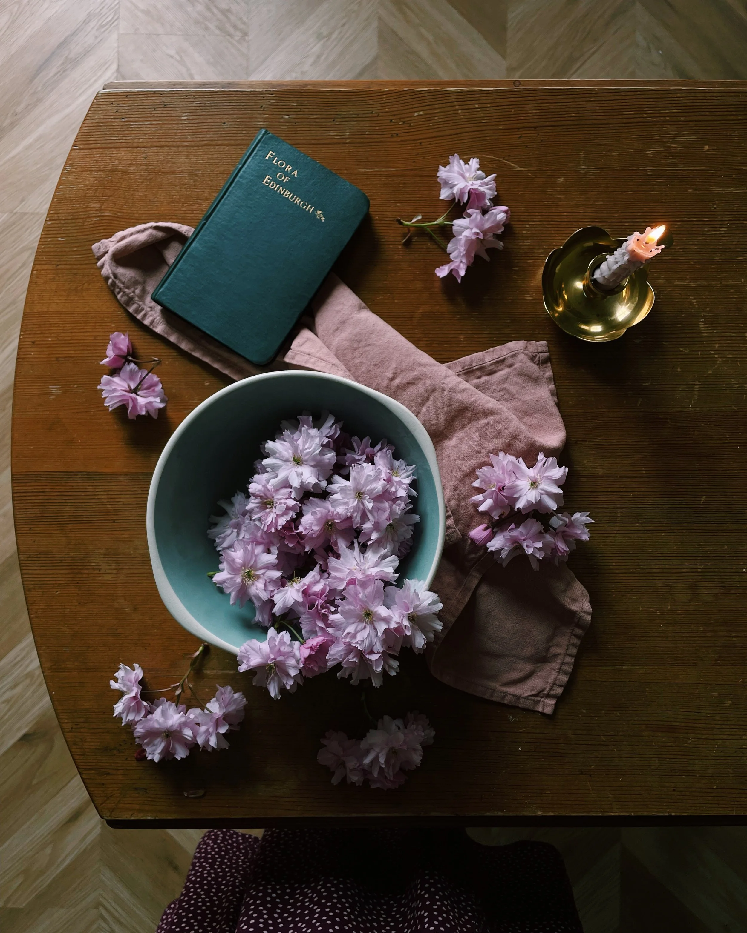 Activity: Celebrating Blossom Season