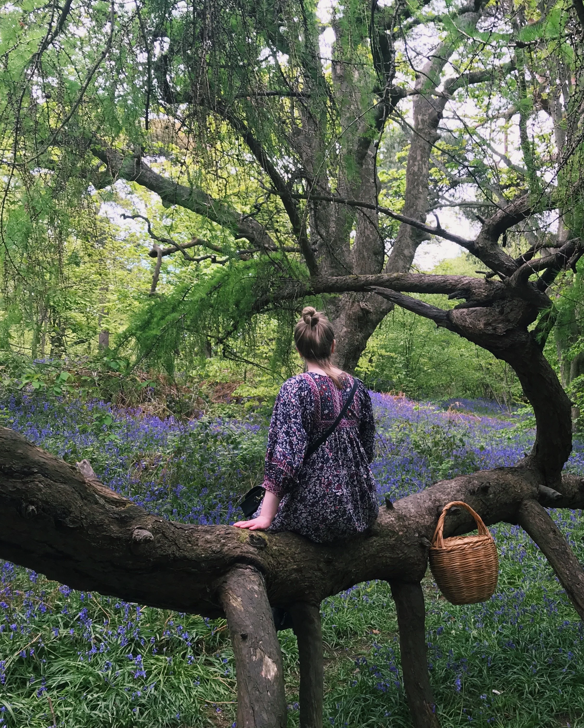 Reflection: Journaling Prompts - Beltane to Litha