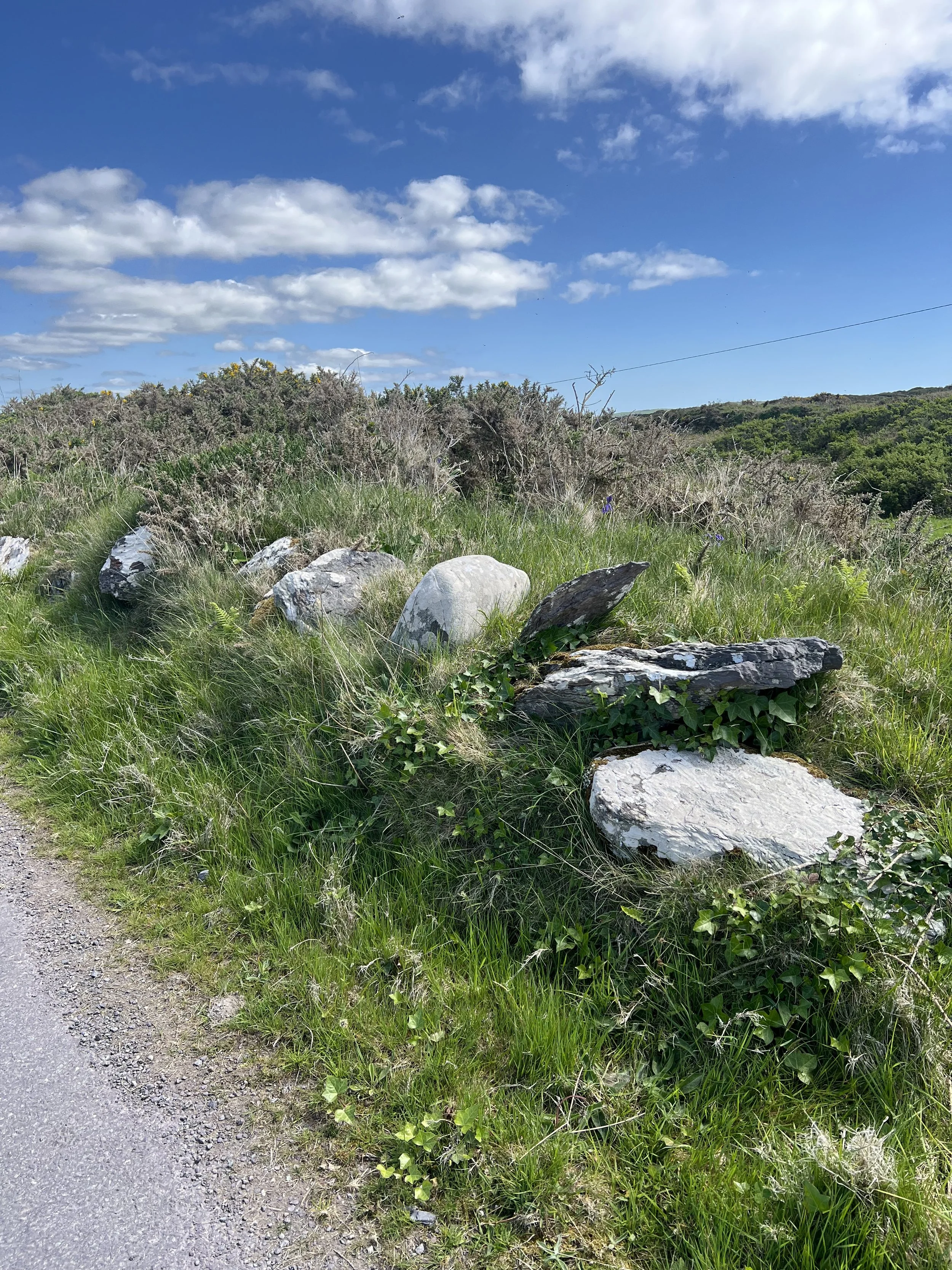 Row of large stones on grass