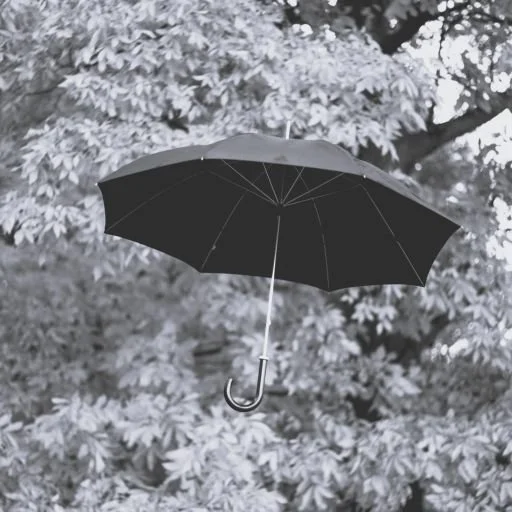 BA-verzekering ingenieur: schorsing of dekking?